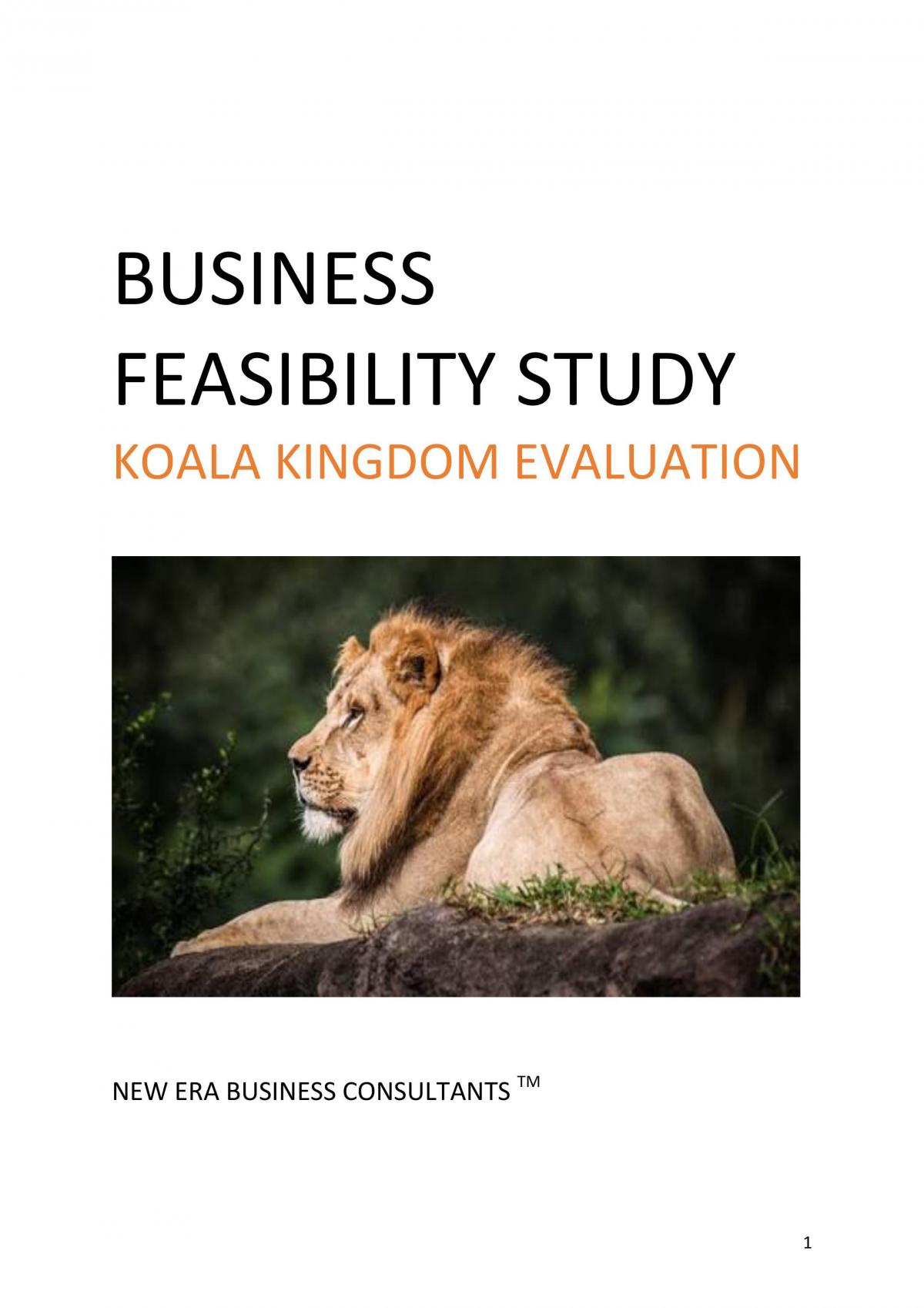 Business Feasibility Study - Page 1