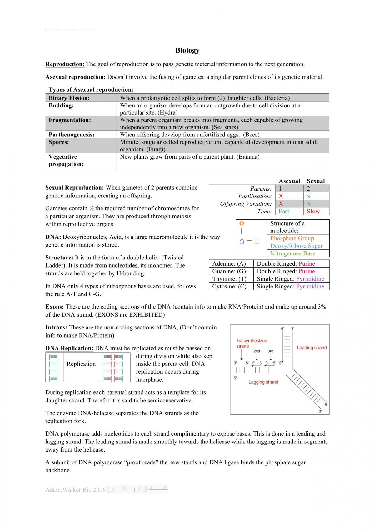 WACE Biology Notes  - Page 1