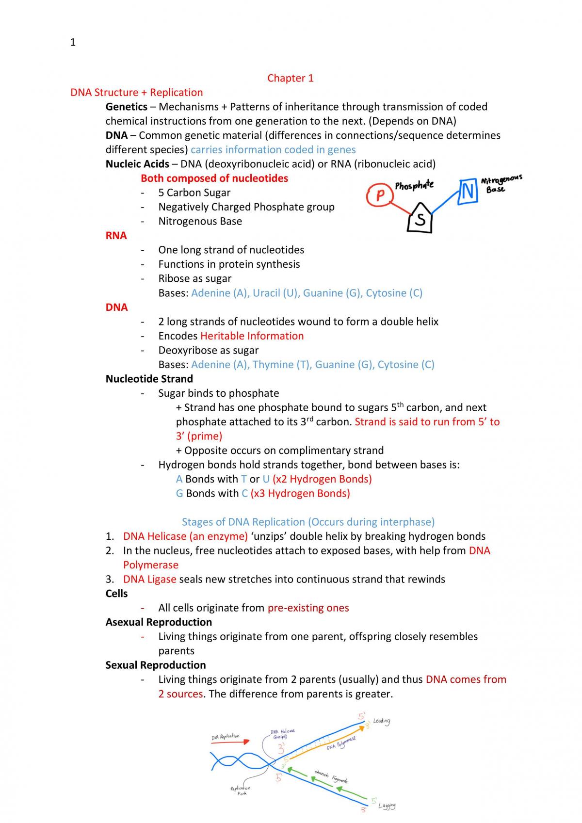 WACE Biology Notes - Page 1