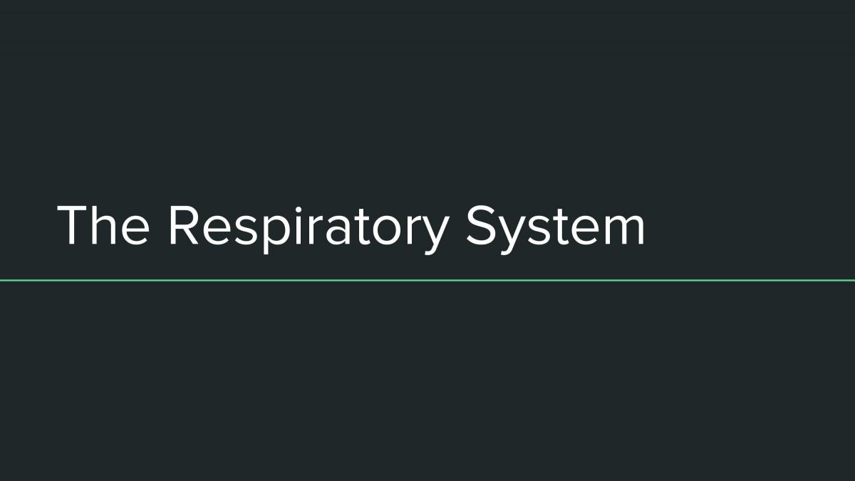The Respiratory System - Page 1