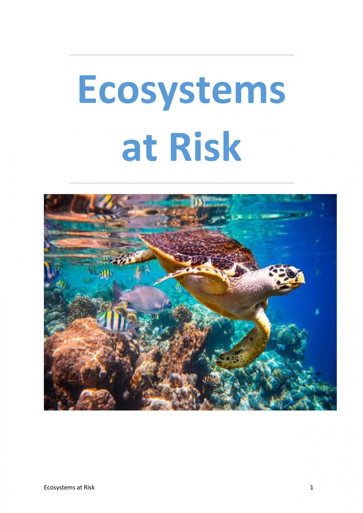 Sophisticated Ecosystems at Risk Notes - Page 1