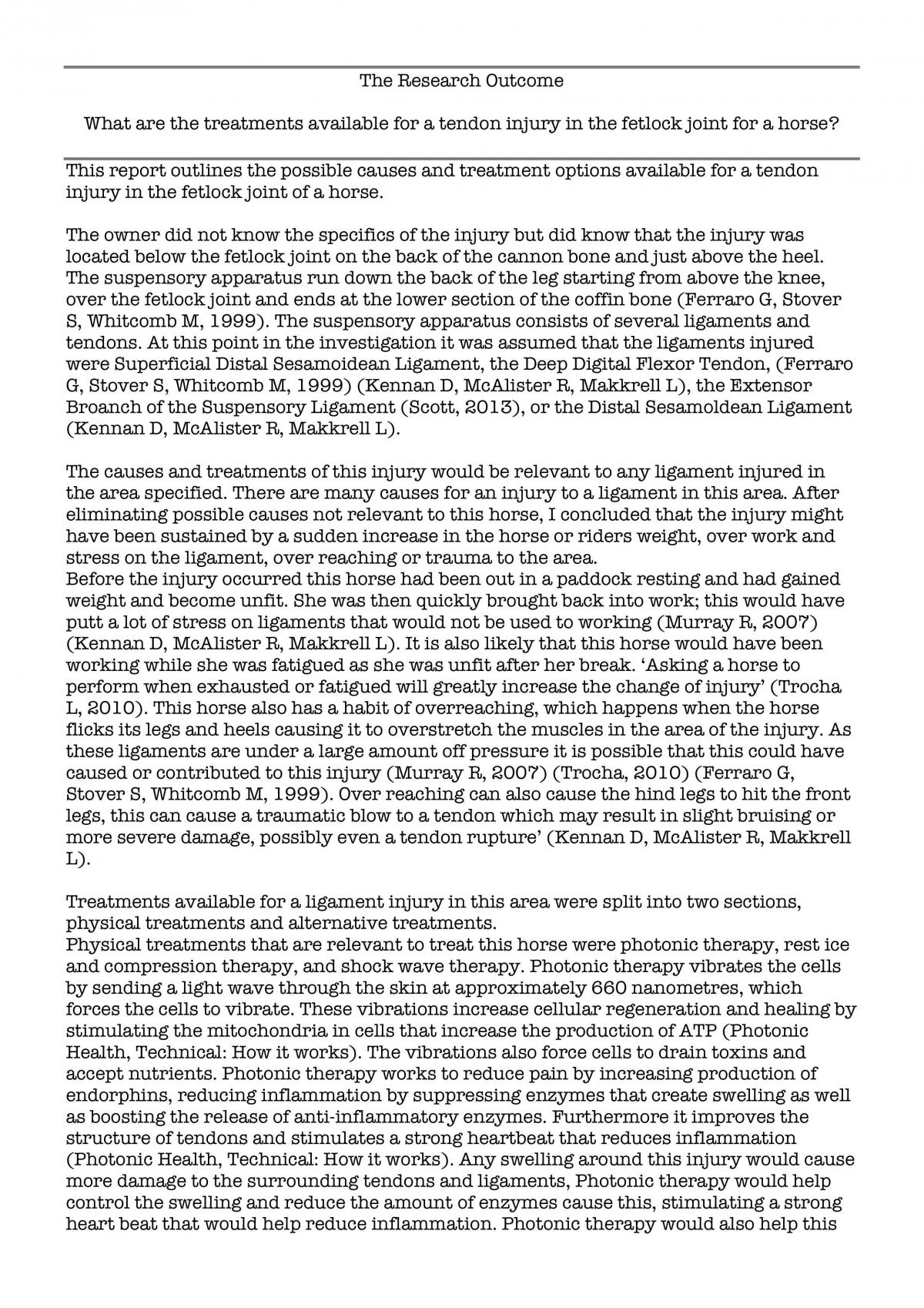 Horse Injuries Essay - Page 1