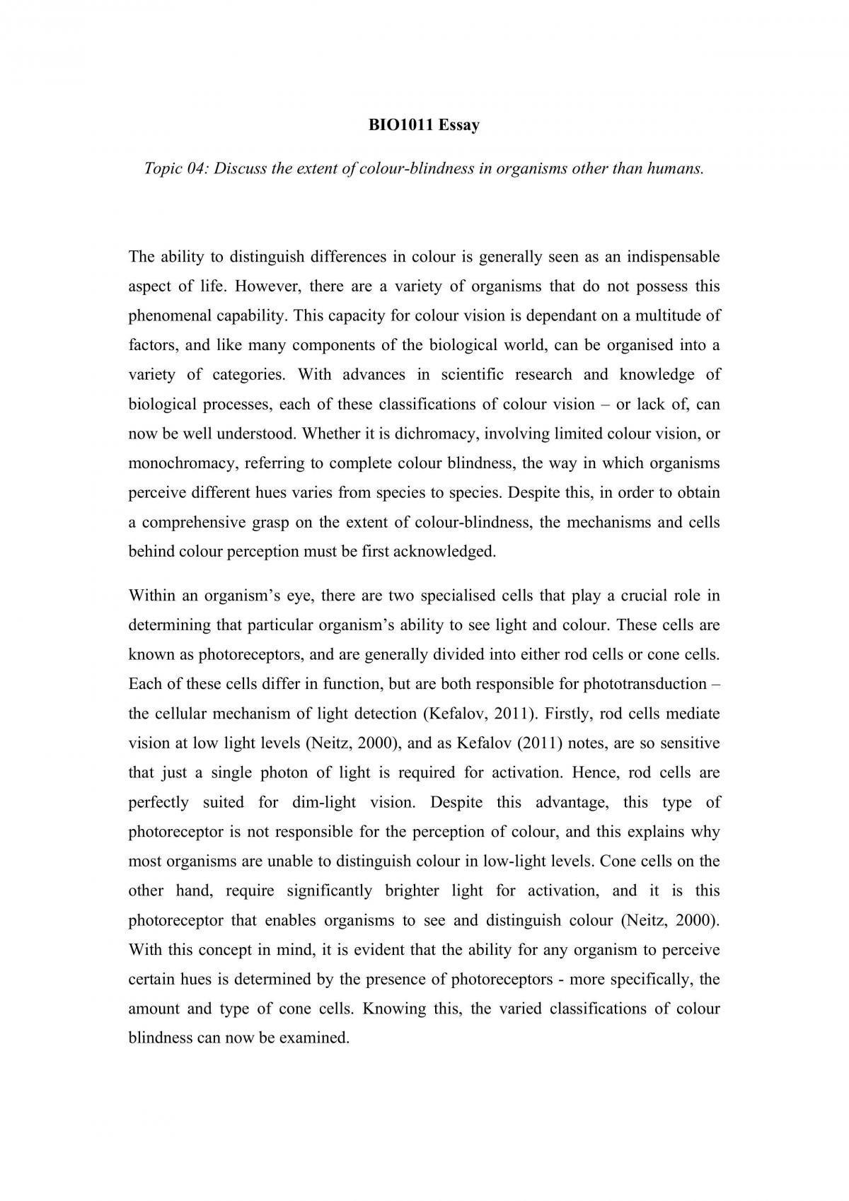 Major Essay - Page 1