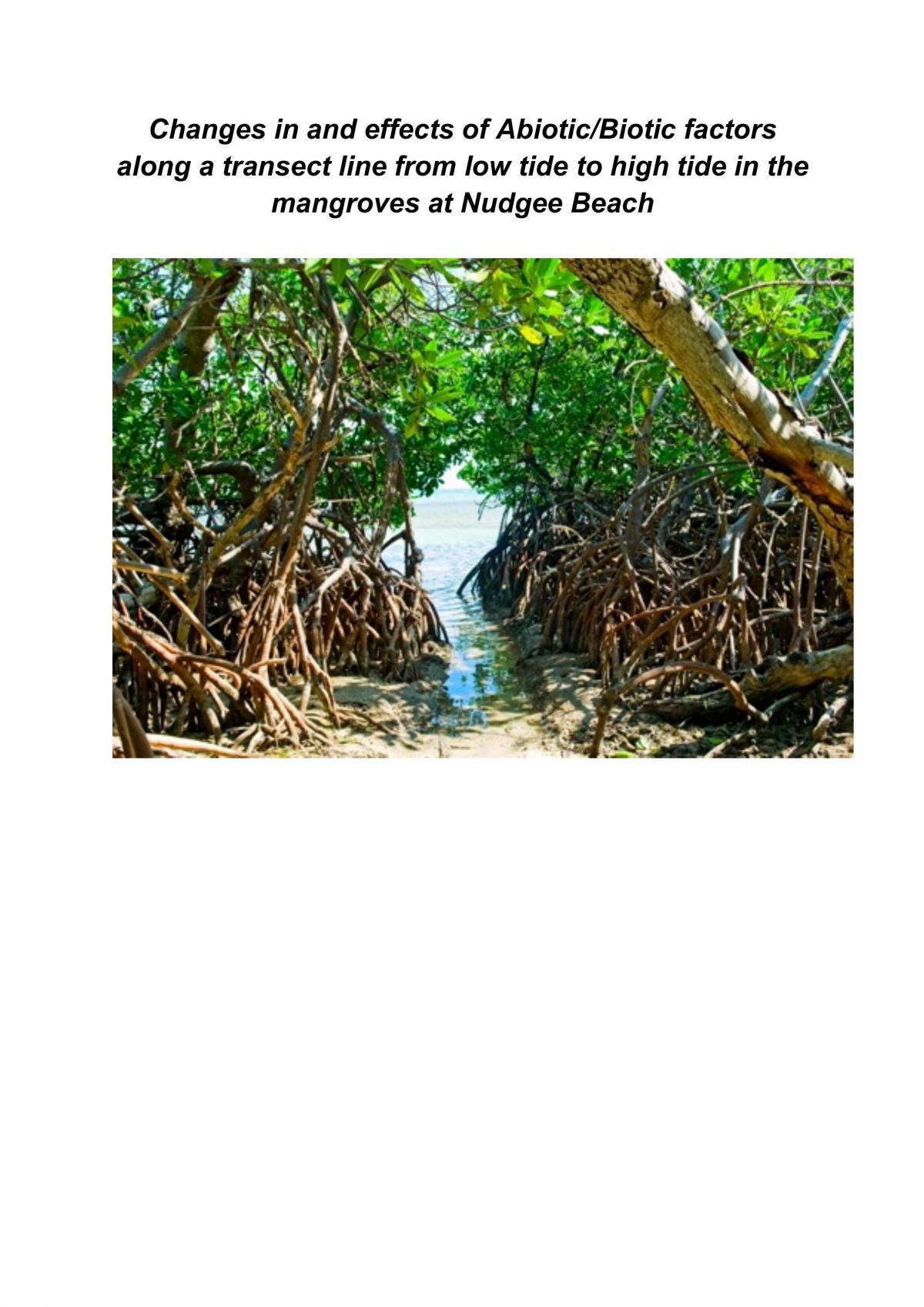 Biology Mangrove Assignment - Page 1