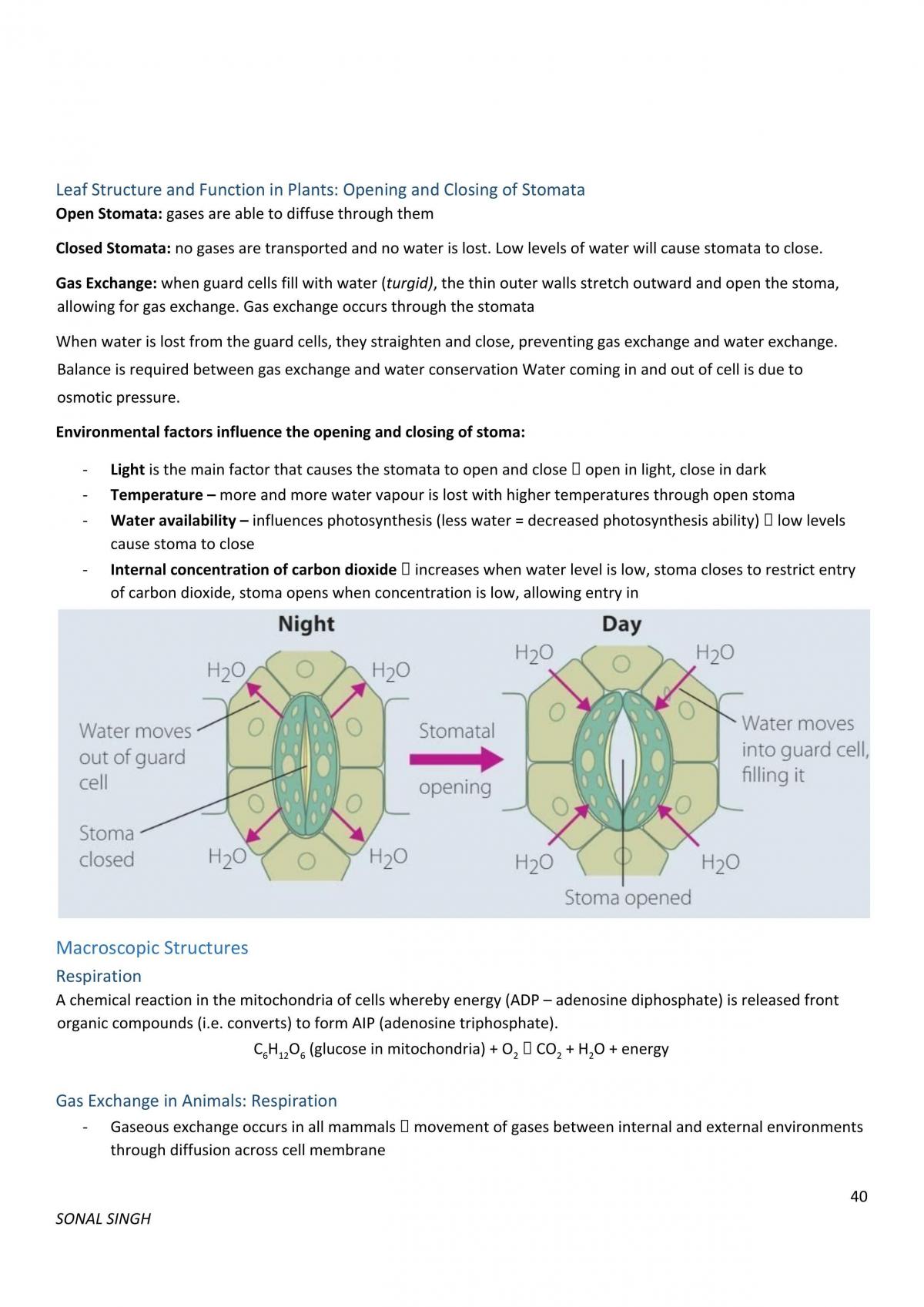 Preliminary biology - Page 40