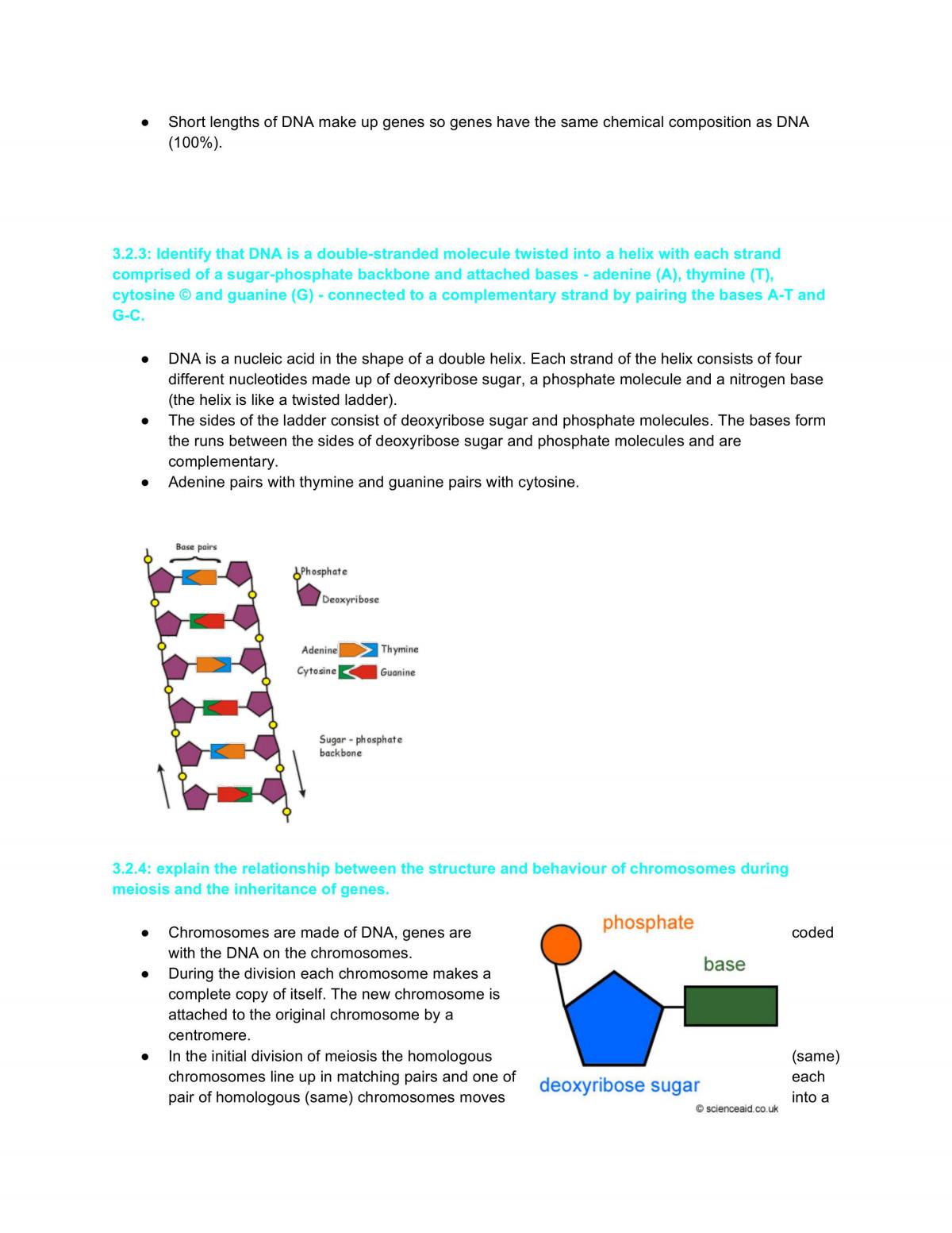 Blue Print of Life Notes - Page 10