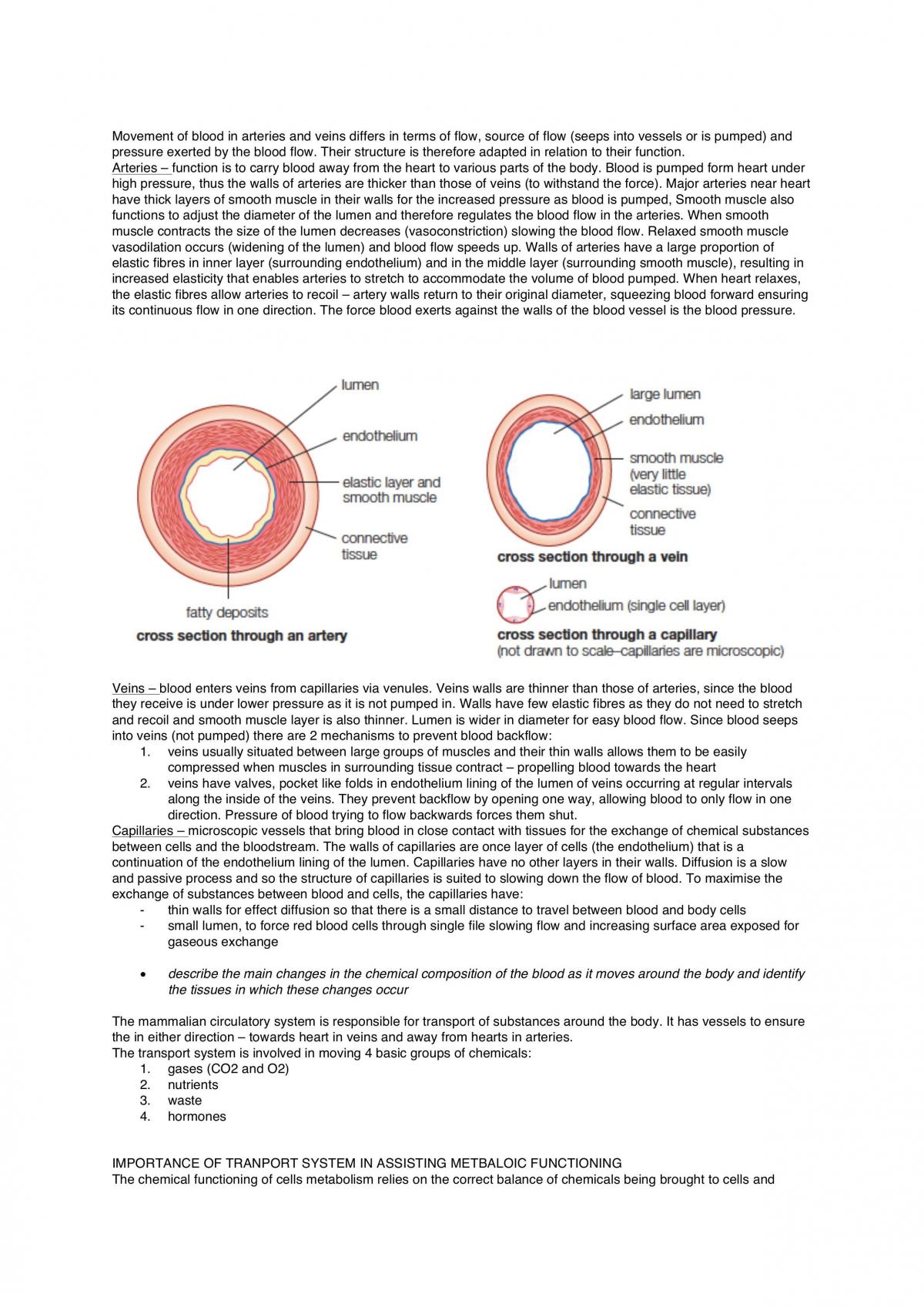 Maintaining a Balance Notes - Page 14