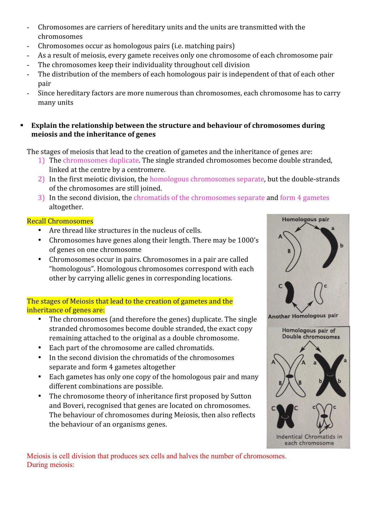 Blueprint of Life Notes - Page 14