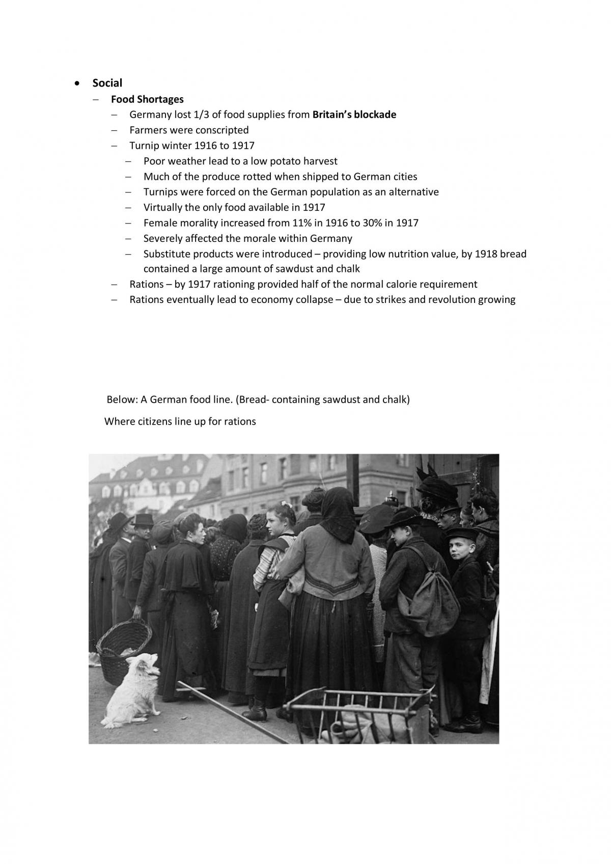 Core Study World War One Full Notes - Page 14