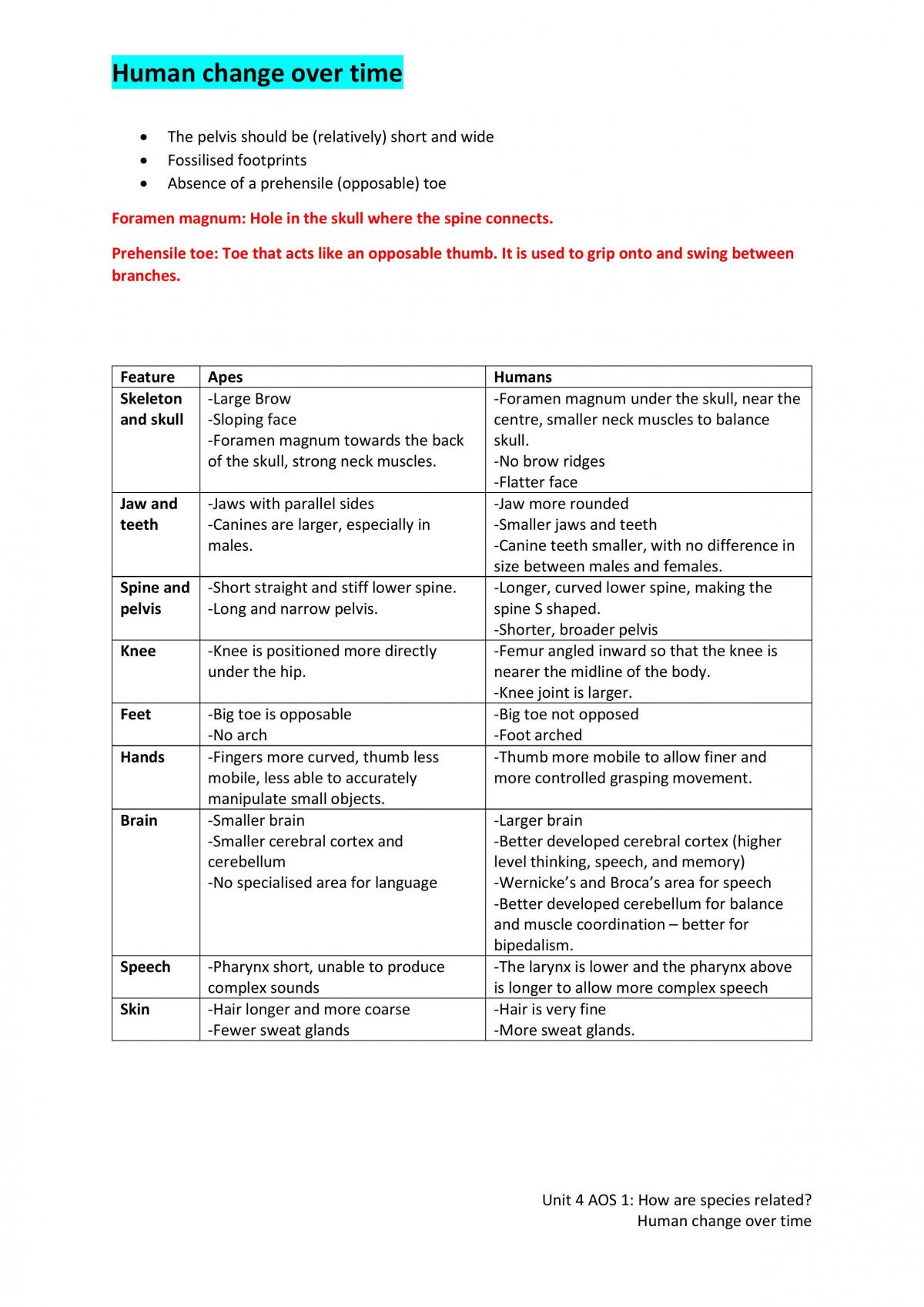 Full Biology Unit 4 Notes - Page 16