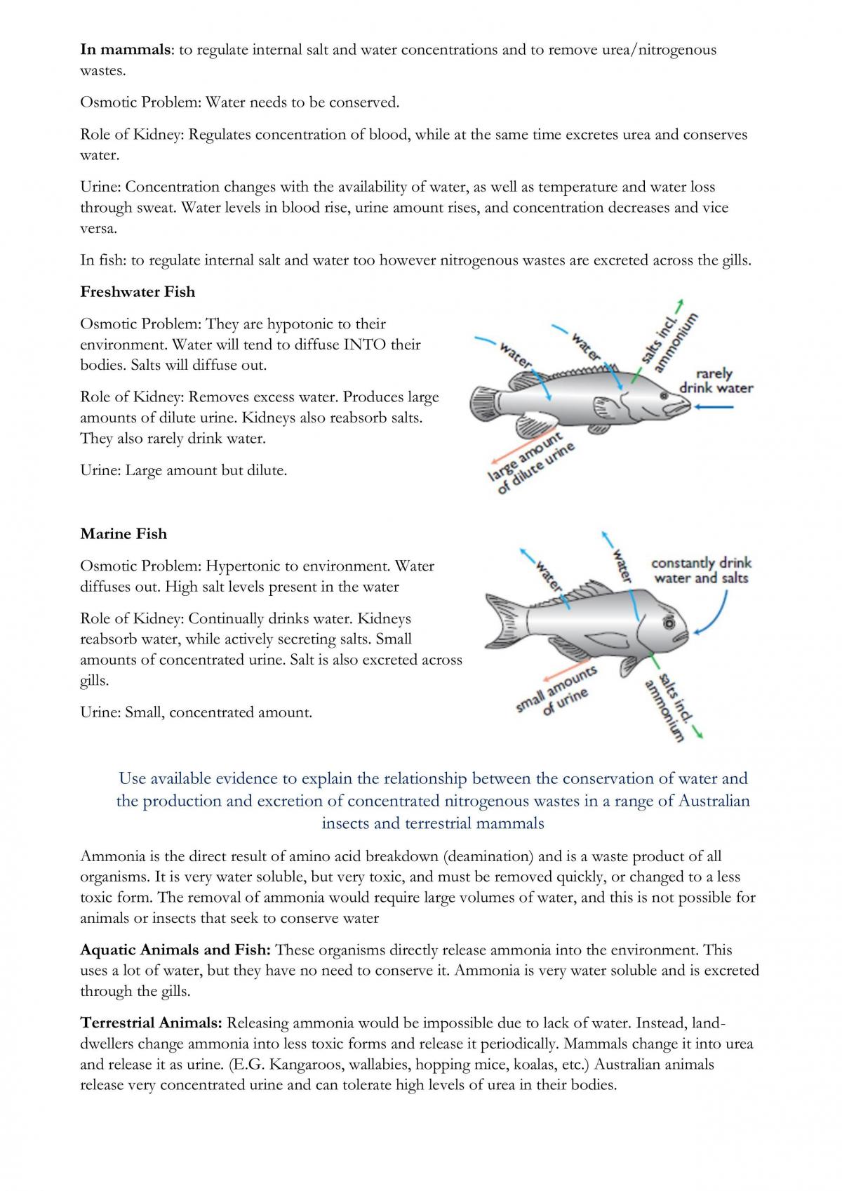 Maintaining a Balance Notes + Questions - Page 11
