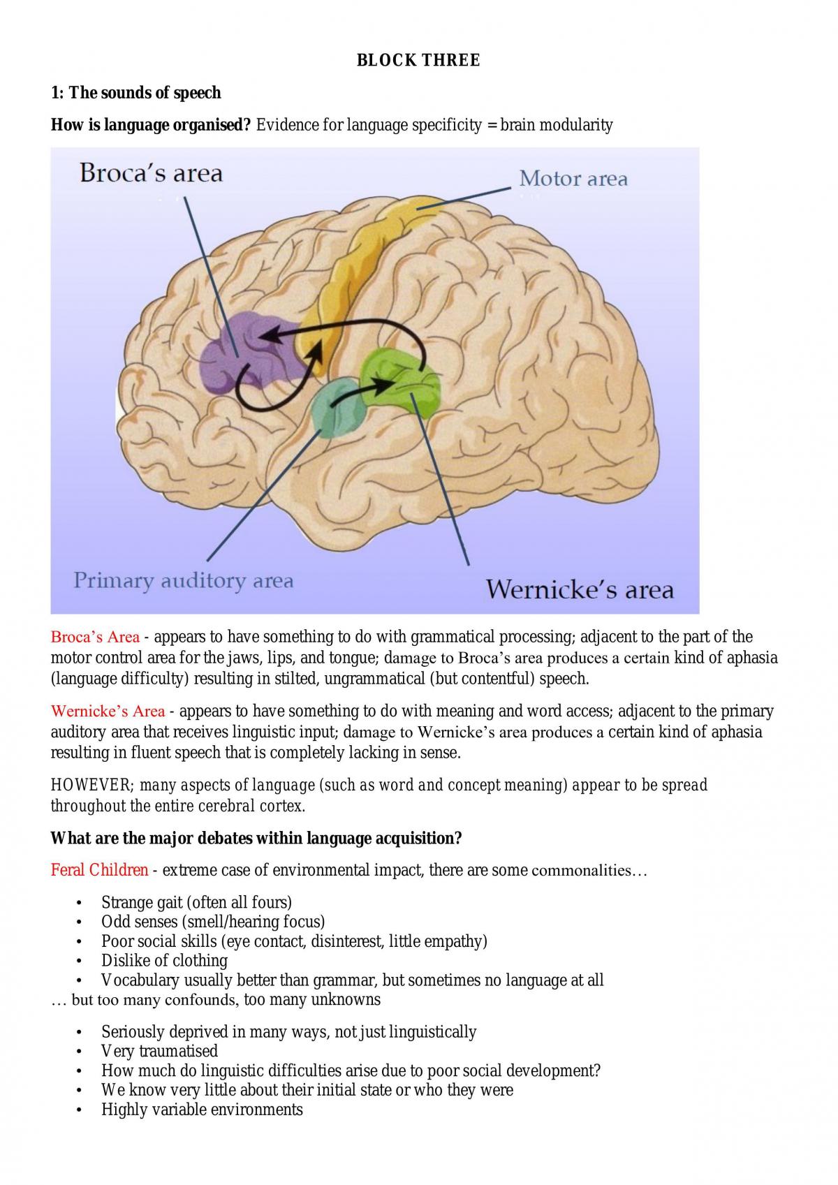 Study Notes & Lecture Summary for Dev Psych - Page 15