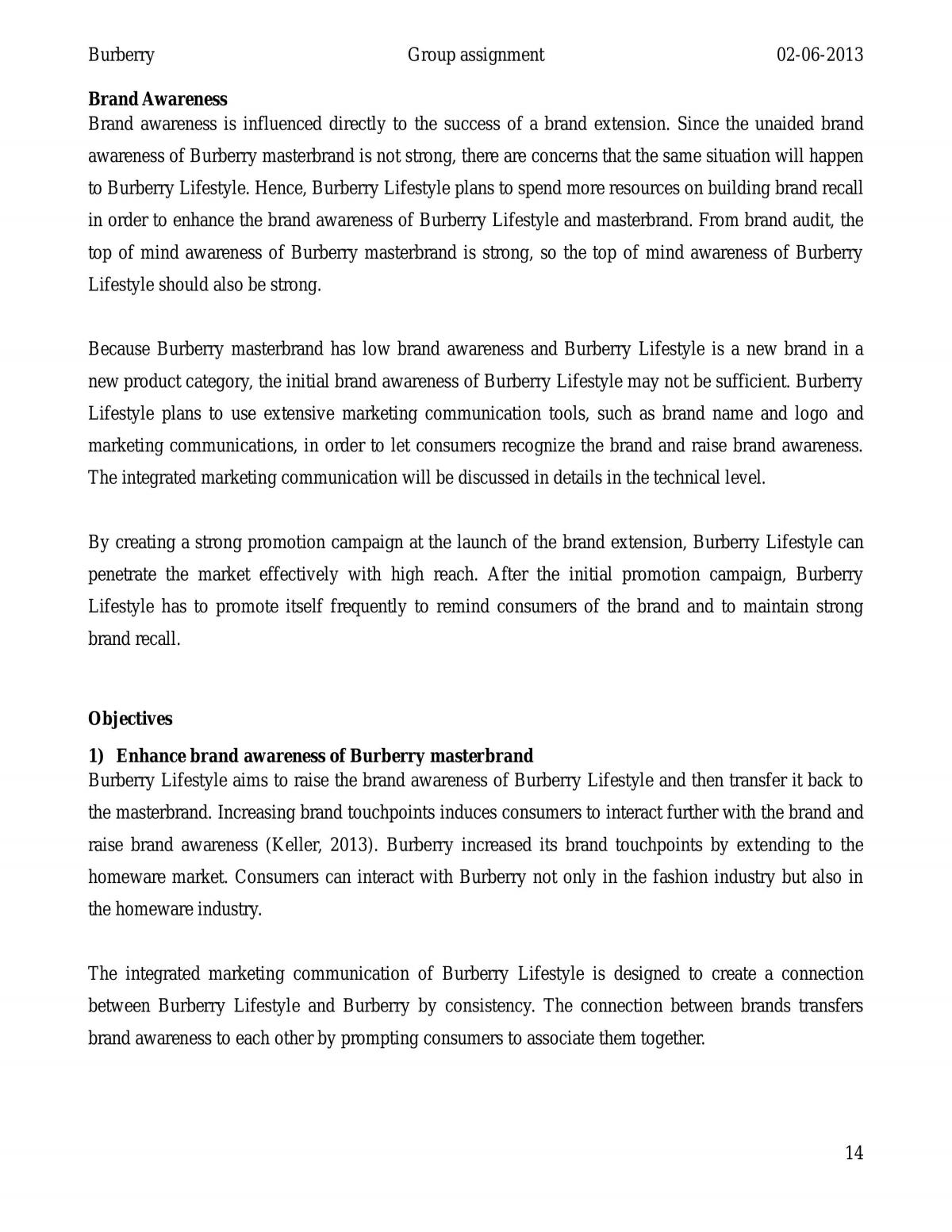 Brand Extension Plan - Page 15