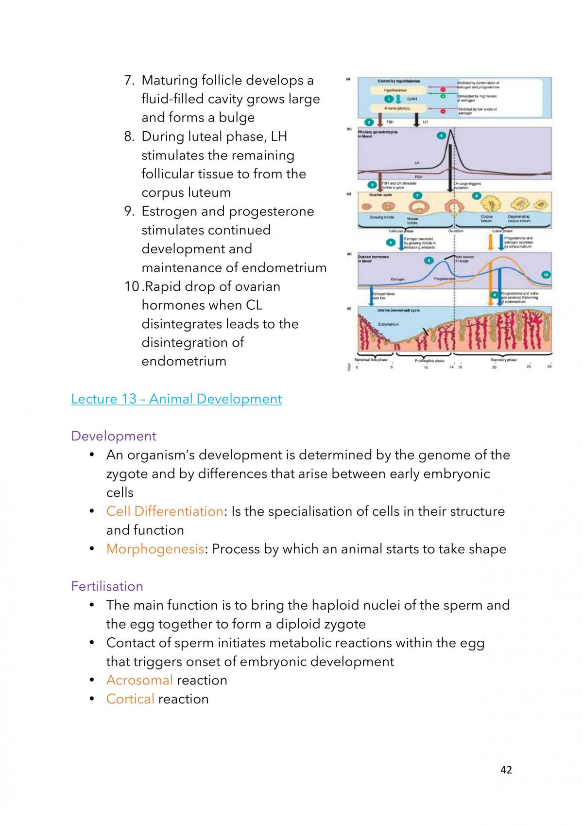 BIO1022-Notes - Page 42