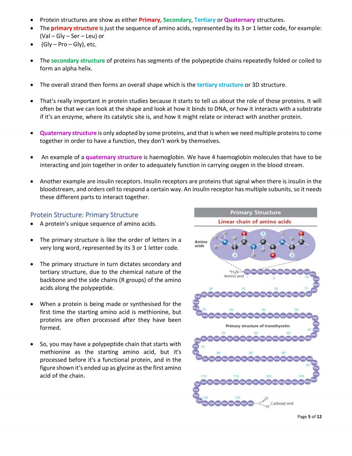 2019 T1 Complete Study Notes - Macromolecules - Page 13