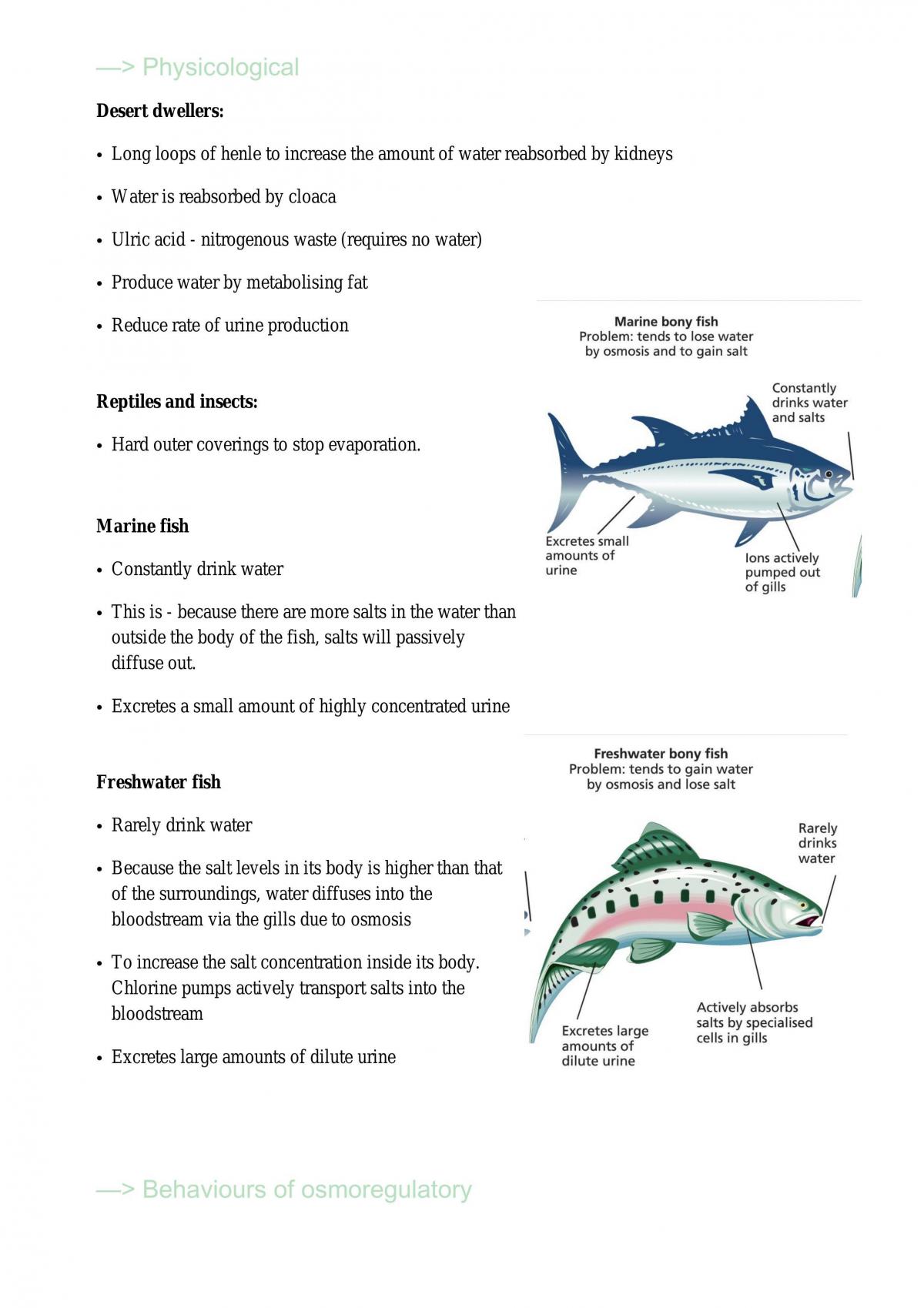 Biology Notes - Page 23