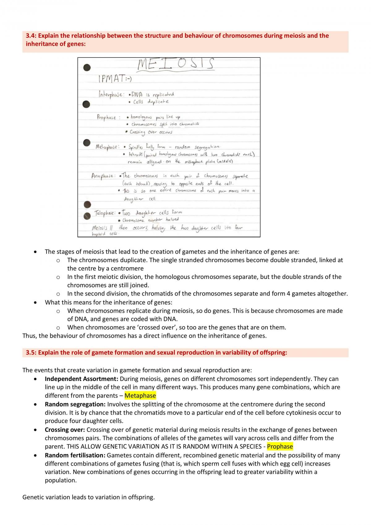 Blueprint of Life Notes - Page 13