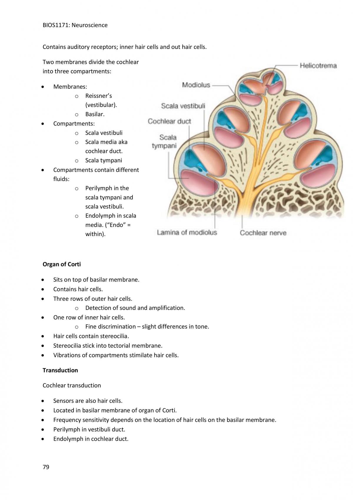 BIOS1171 NeuroScience Study Notes Based on Lecture  - Page 79