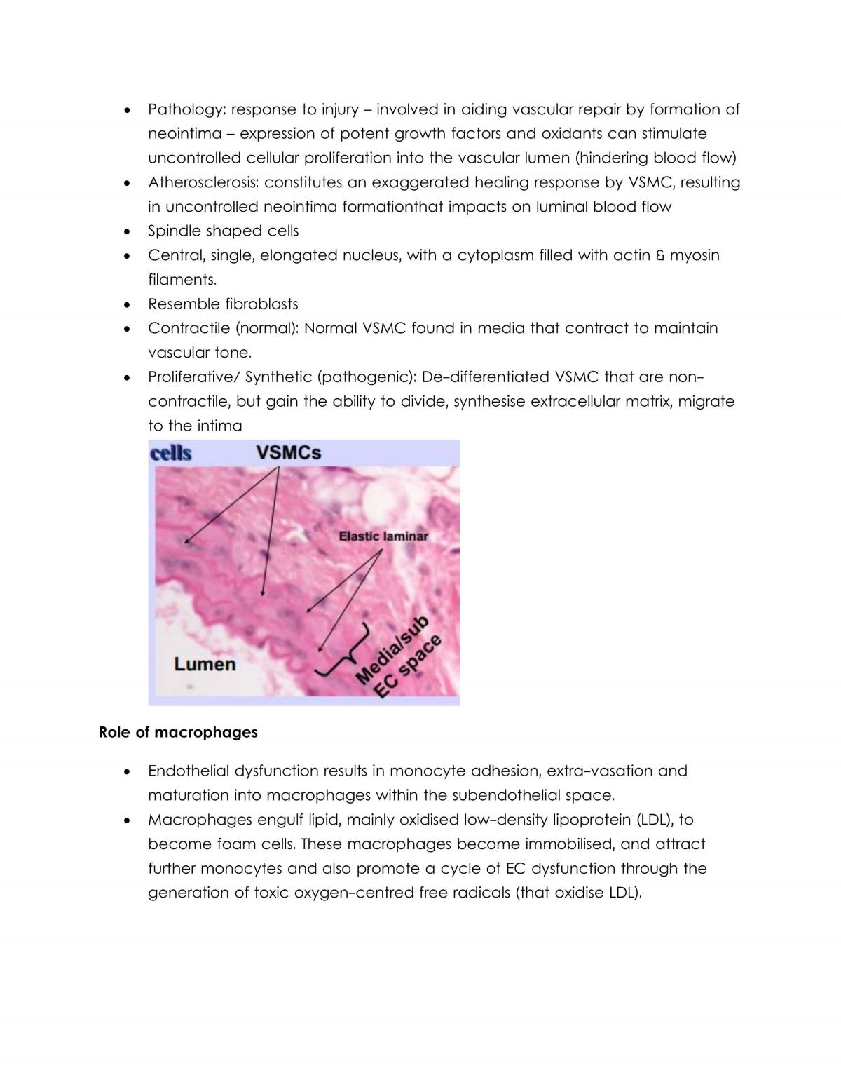 BMED2403 Lecture Notes - Page 50