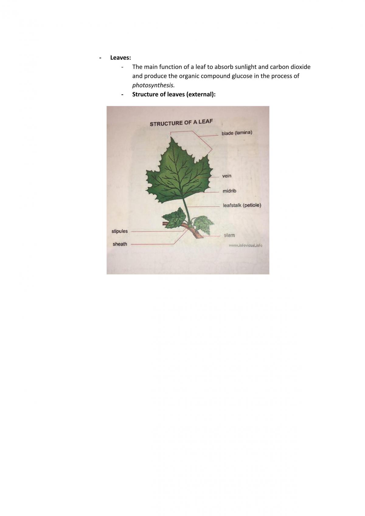 Module 2 Notes - Page 13
