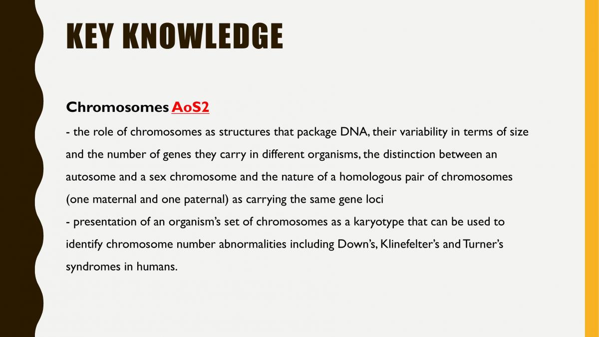 Chromosomes and Asexual Reproduction Unit 2 - Page 2