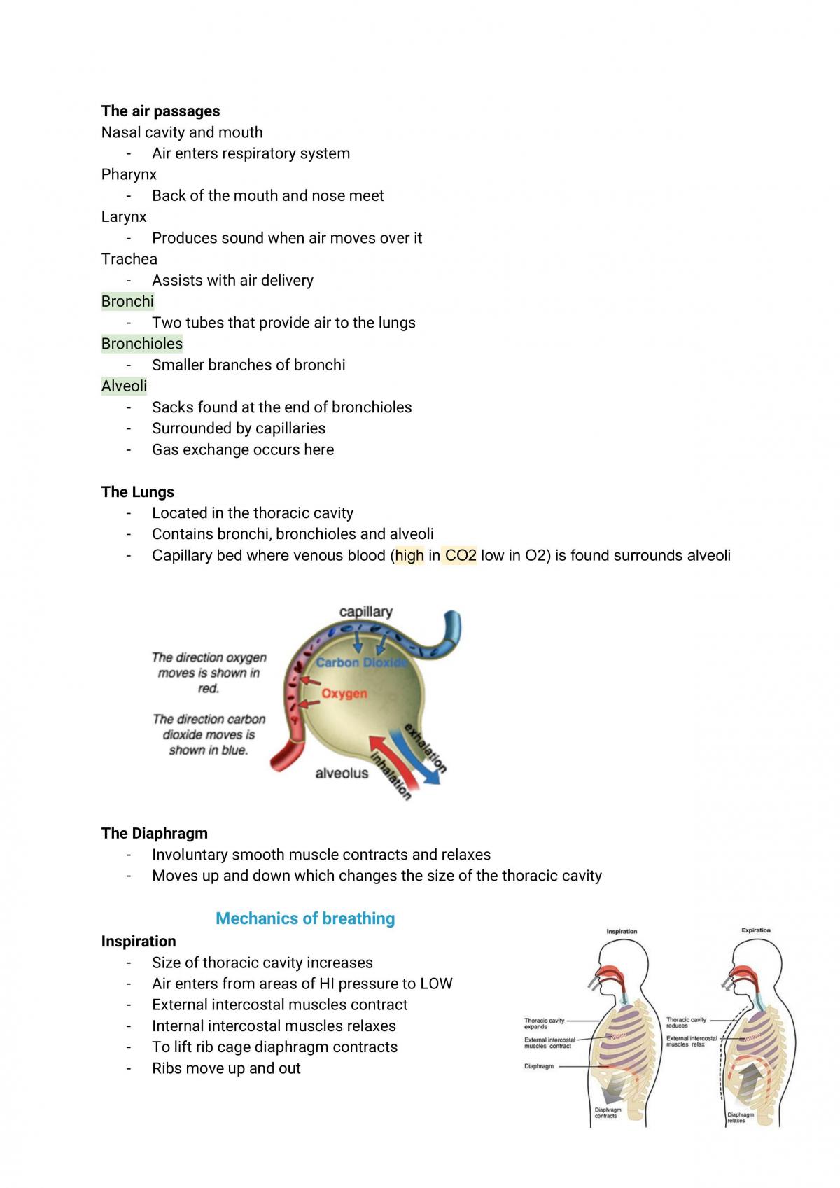 Physical Educational Studies Unit One - Page 10