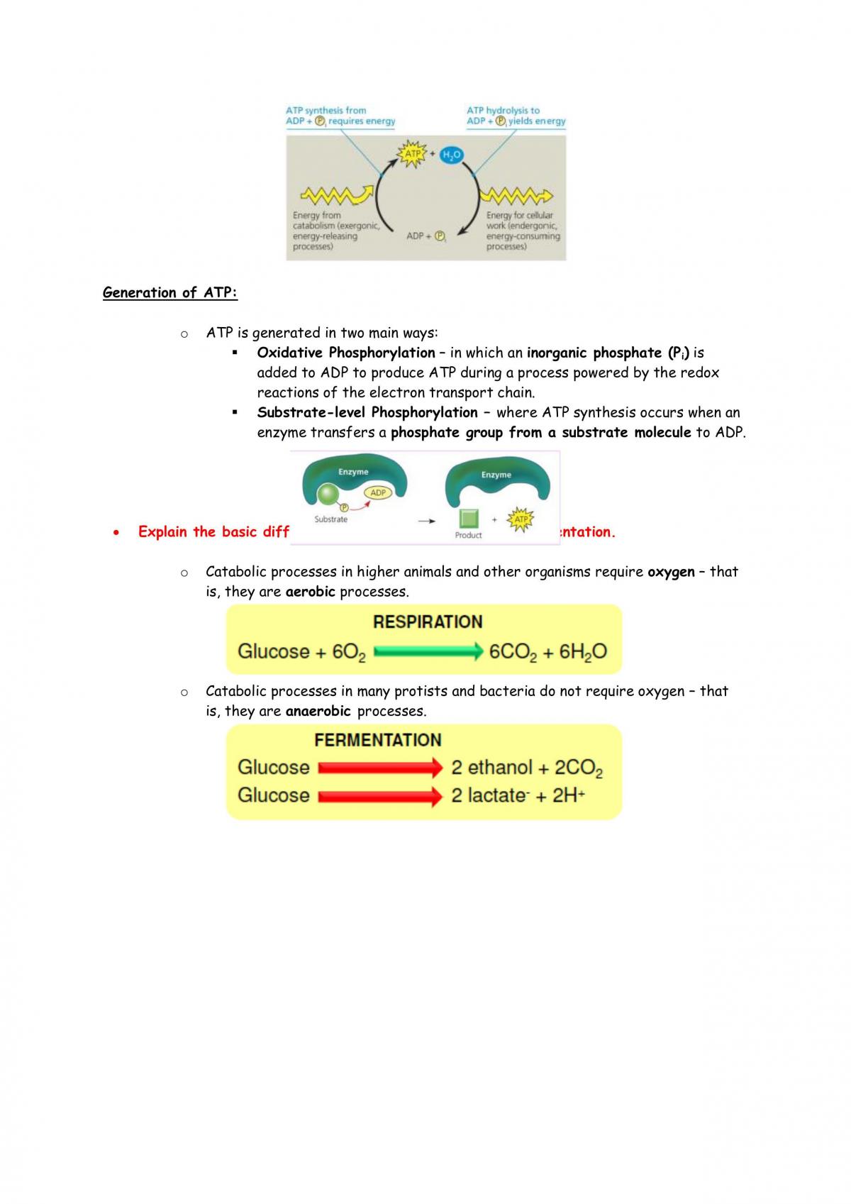 BABS1201 Notes - Page 28