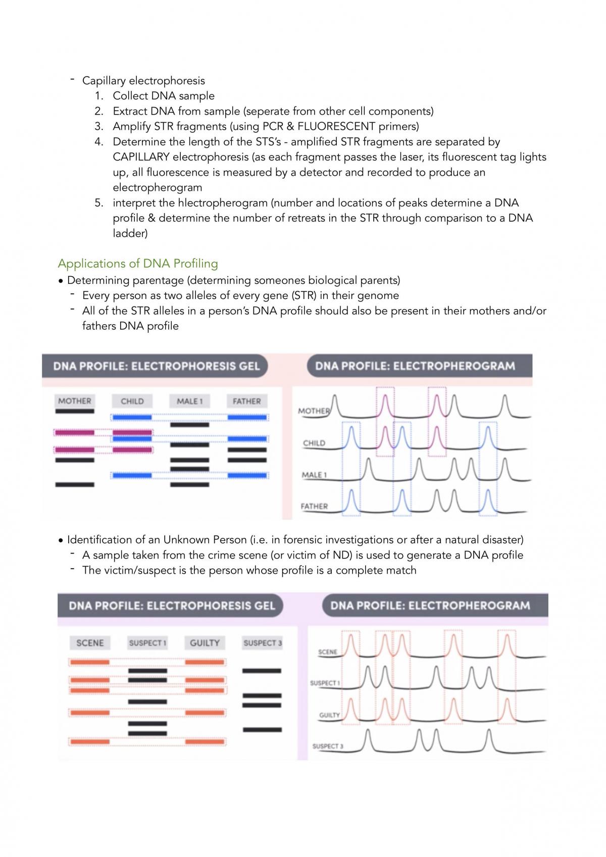 Biology Complete Notes - Page 21