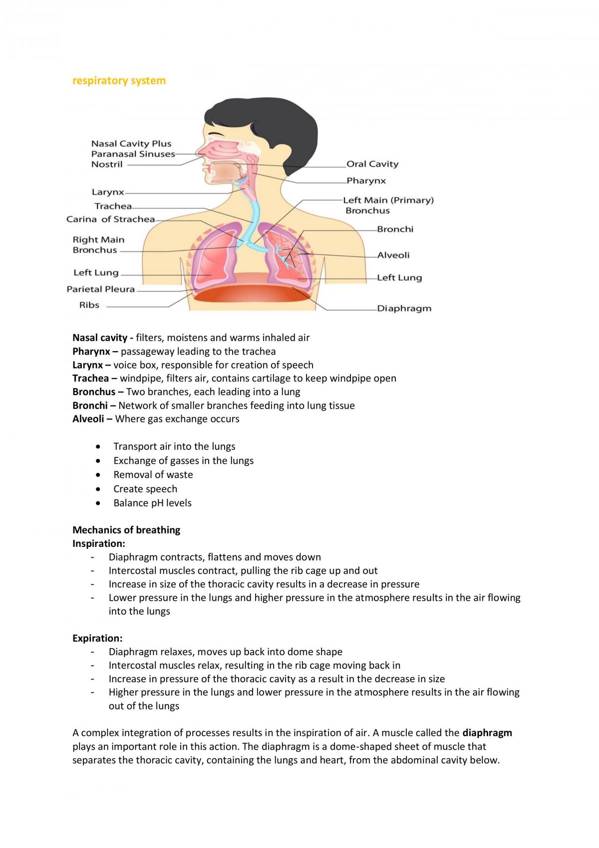 Year 11 Physical Education Studies   - Page 27