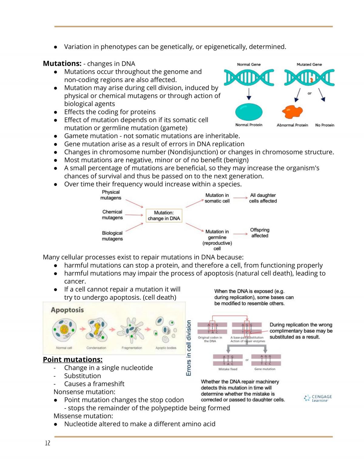 Biology Sem 1 Complete Notes - Page 12