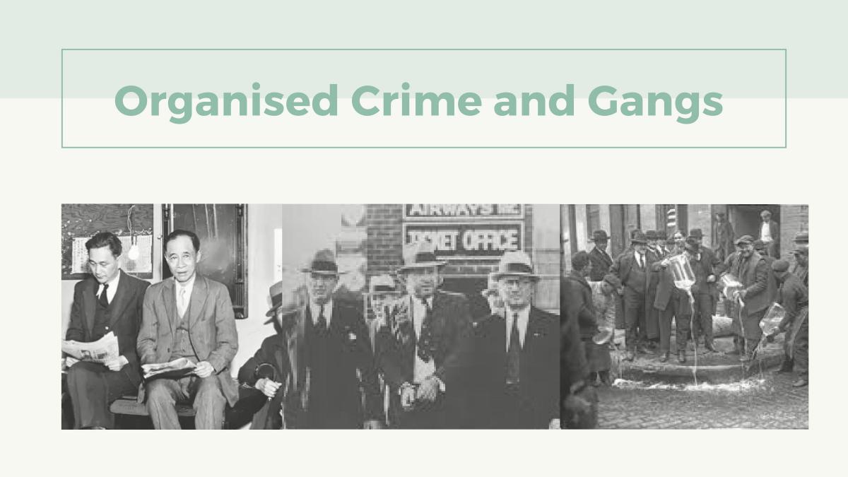 Prohibition Presentation  - Page 5