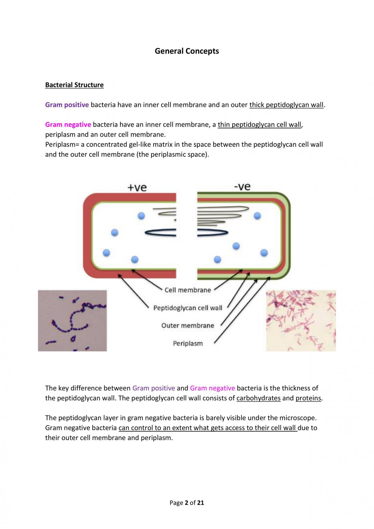 Antibiotics Notes - Page 2