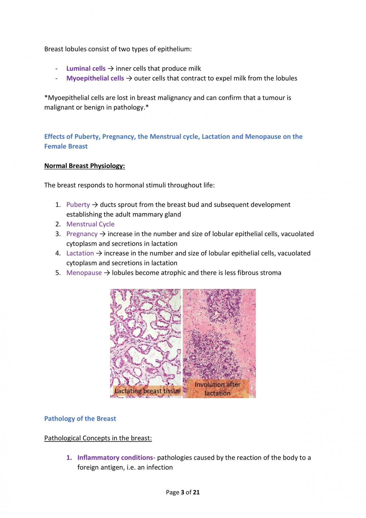 Breast Pathology Notes - Page 3