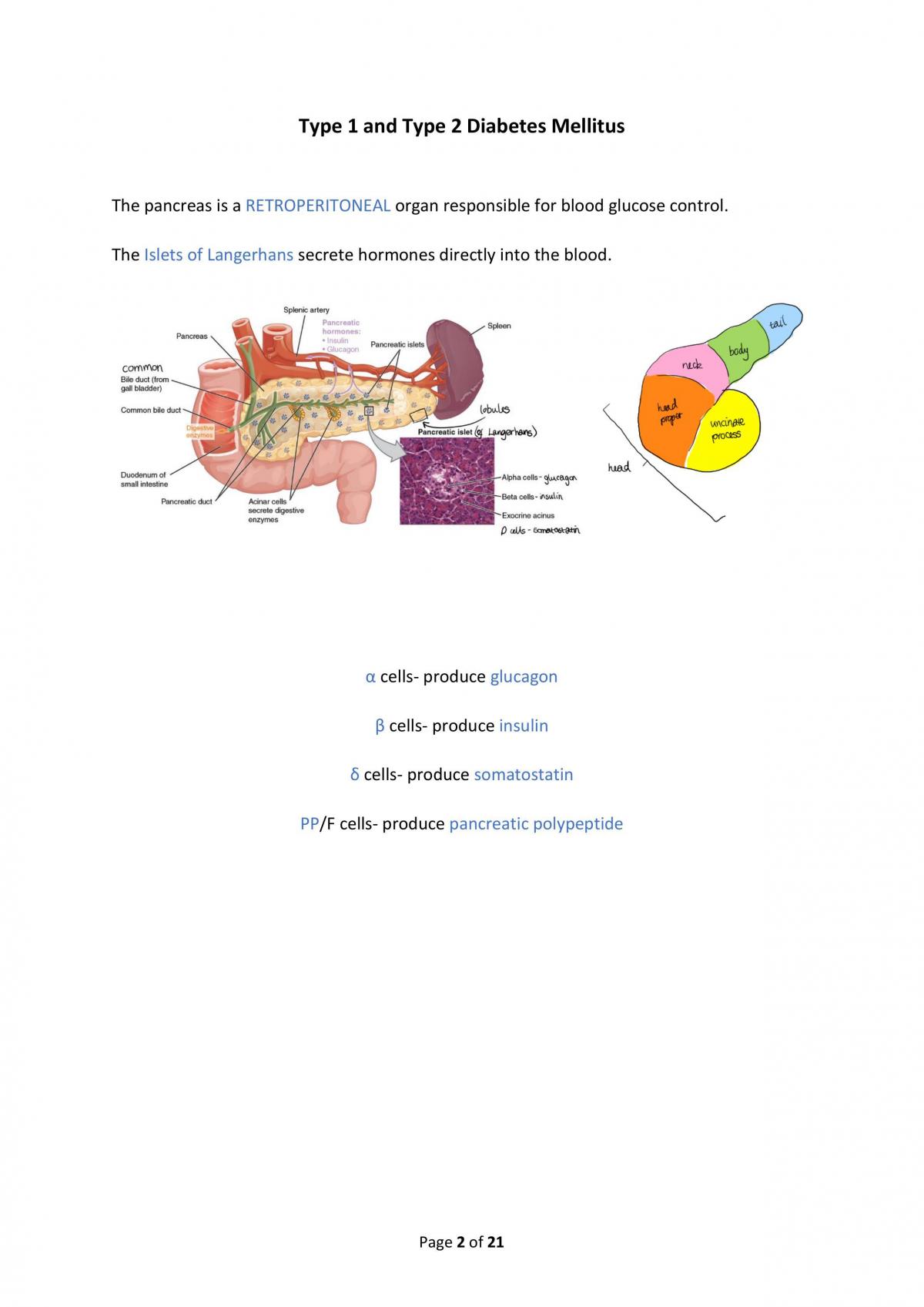 Endocrinology Notes - Page 2