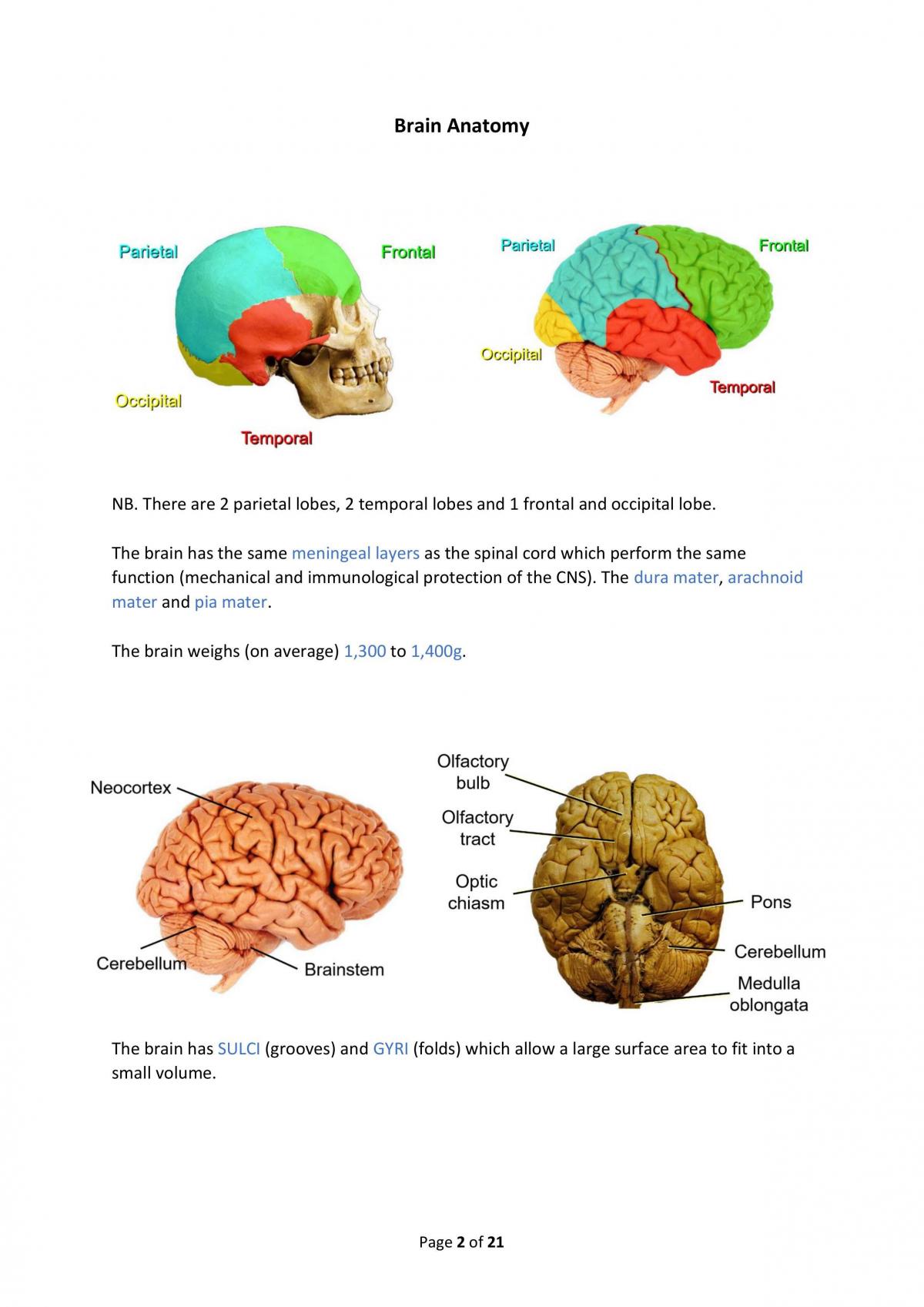 Neurology - Page 2
