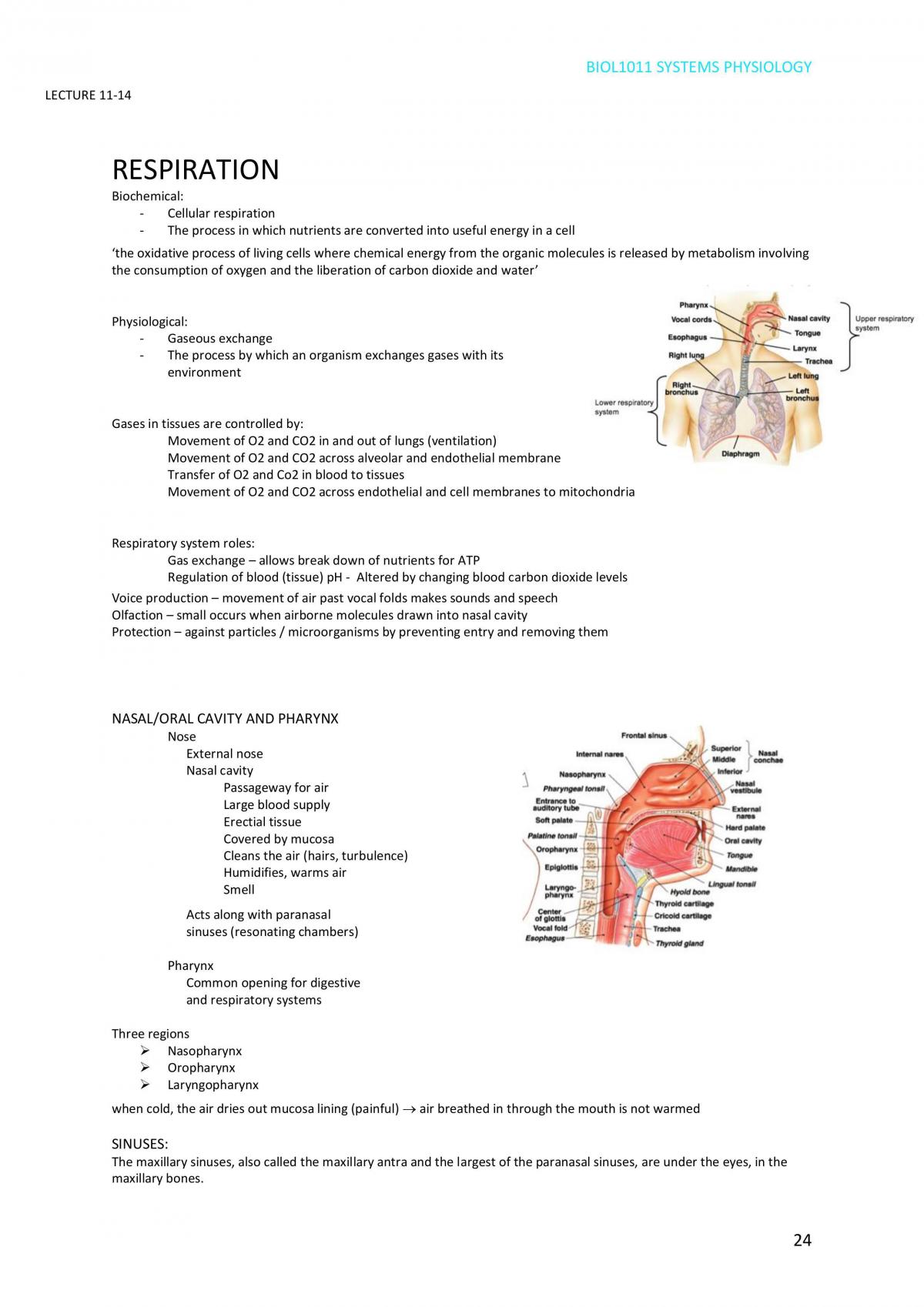 Systems Physiology Notes - Page 24