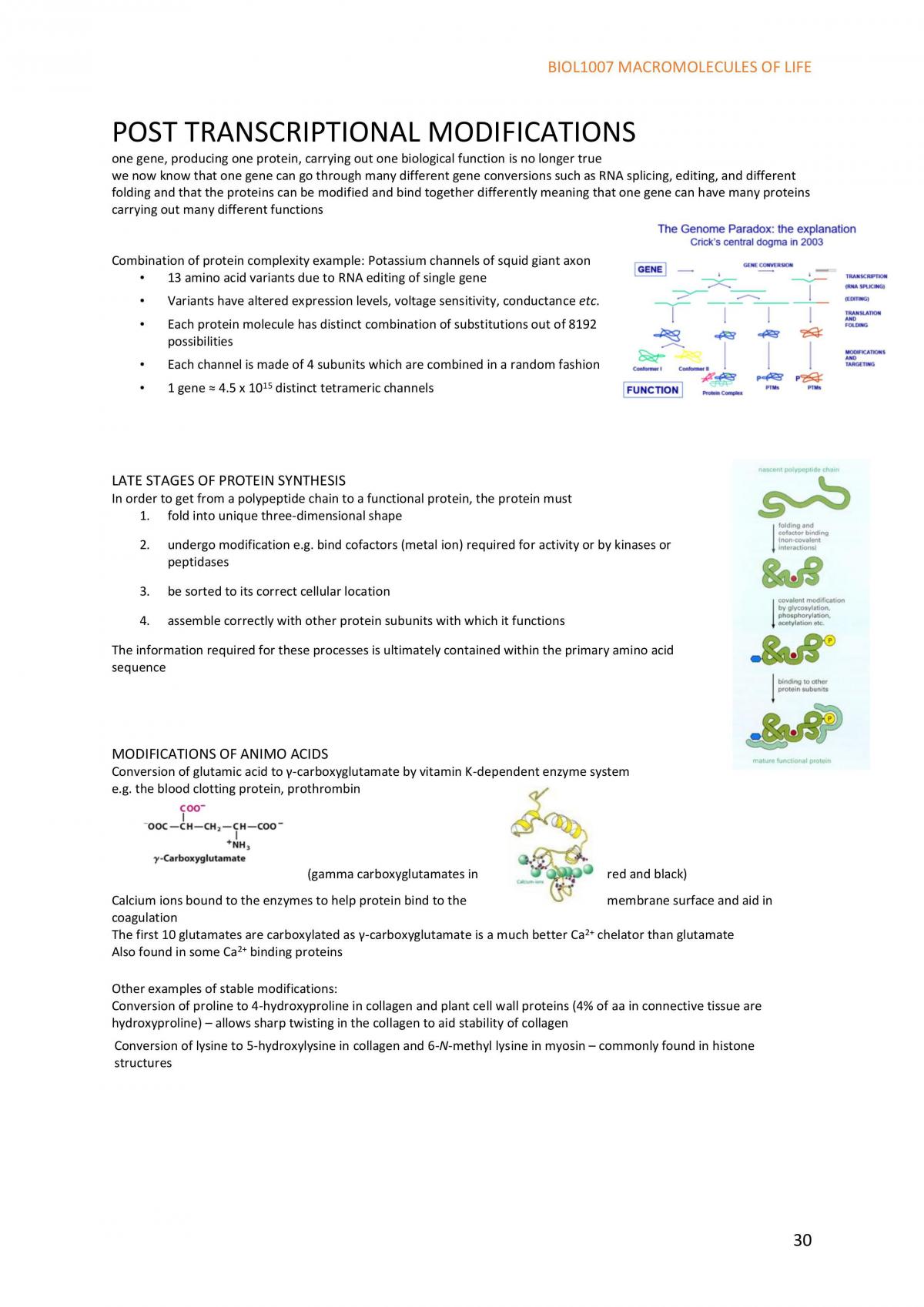 Macromolecules of Life Notes - Page 30