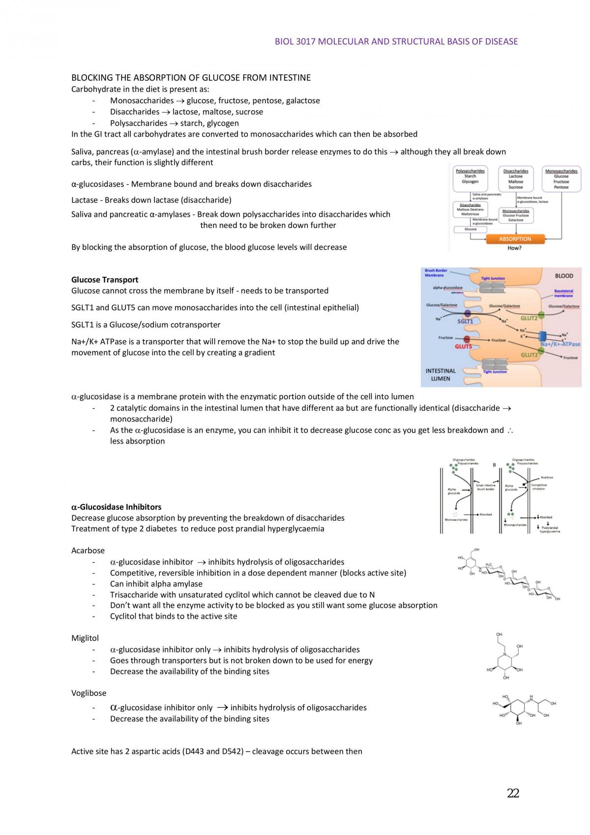 Molecular and Structural Basis of Disease full notes - Page 22