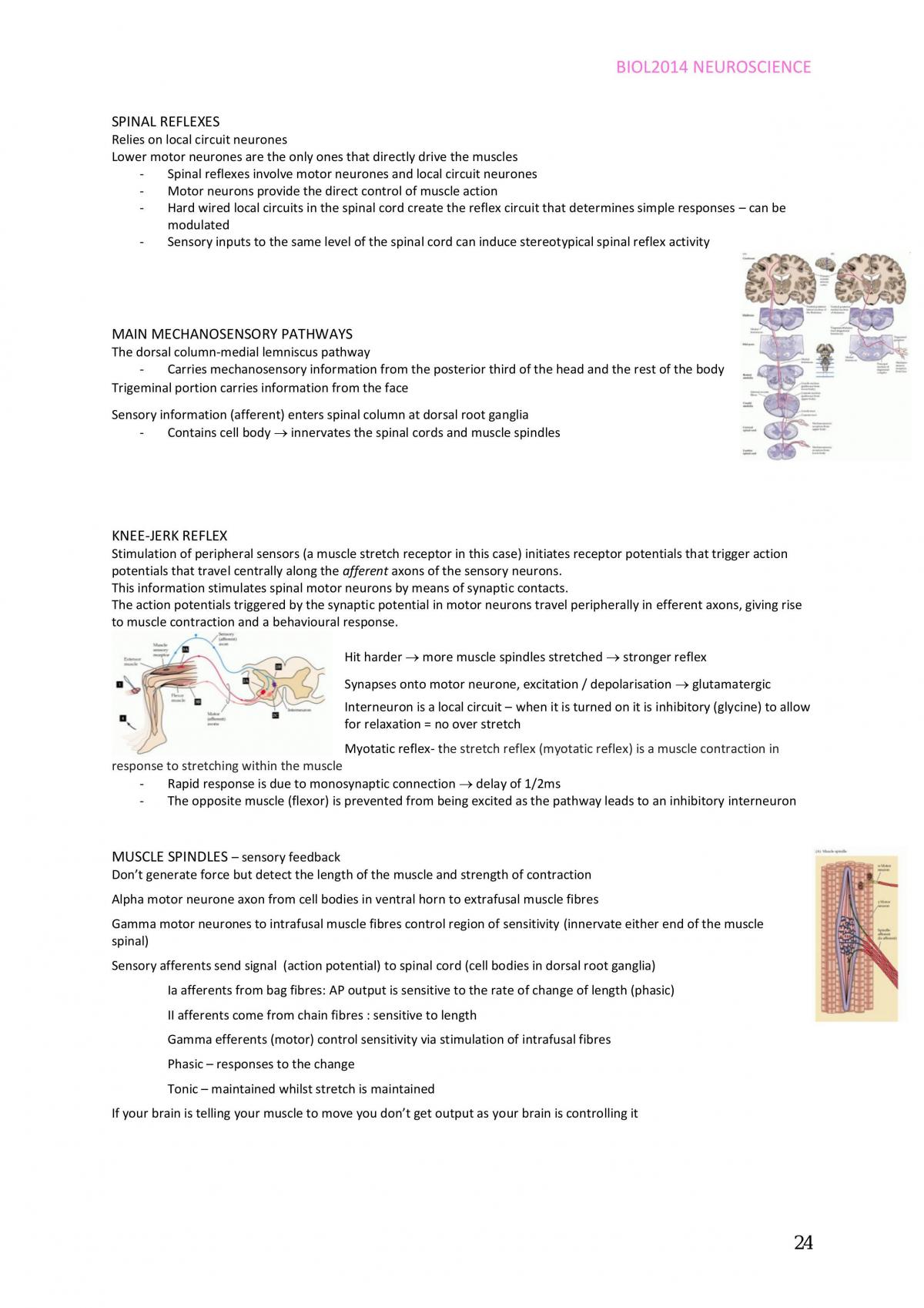 Neuroscience full notes - Page 24
