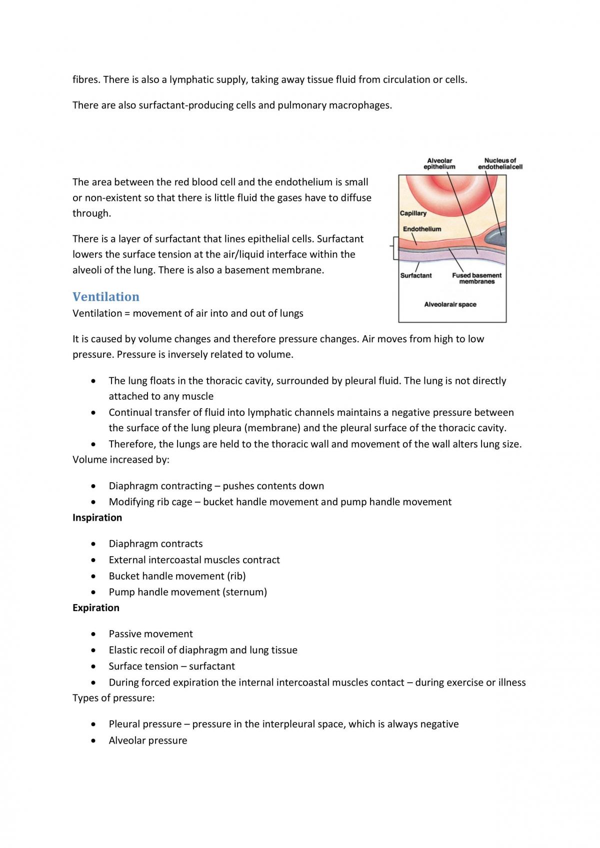 Systems Physiology Notes - Page 28