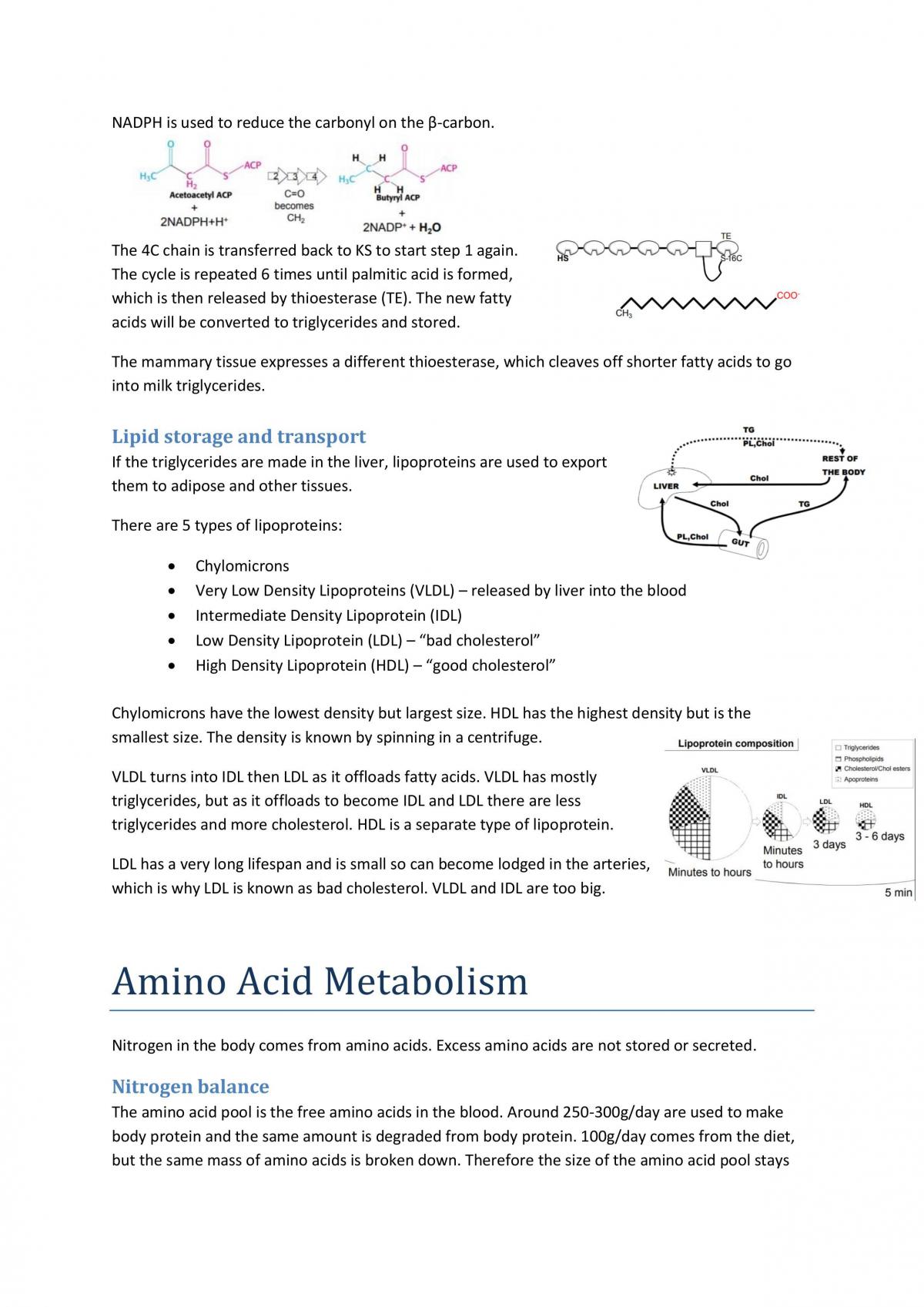 Metabolism and Metabolic Disorders Study Notes - Page 21