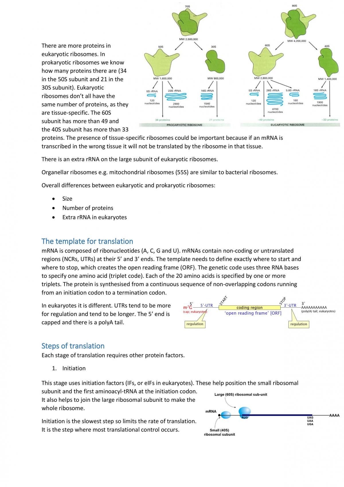 low of Genetic Information full study notes - Page 31