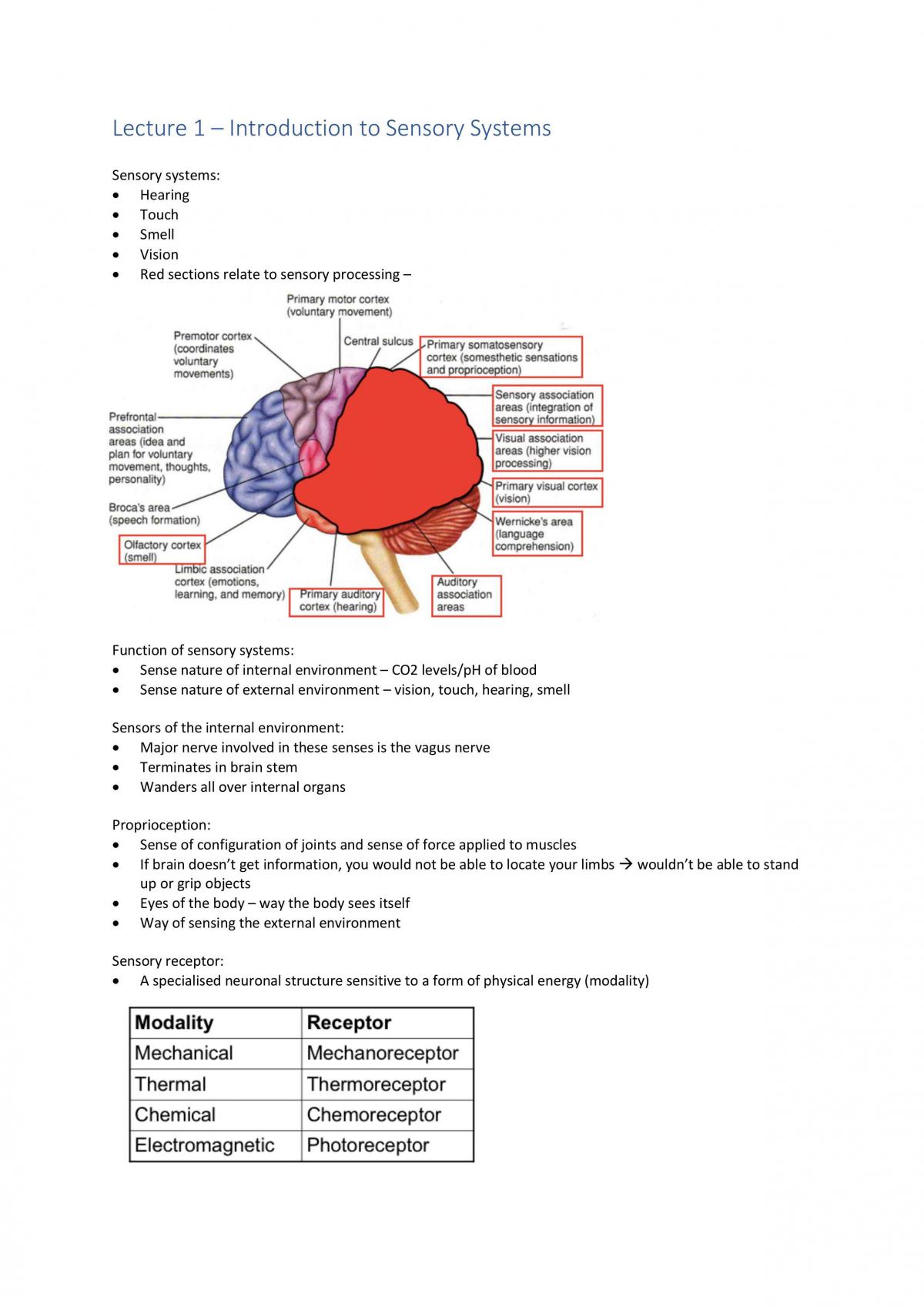Sensory Systems notes - Page 2