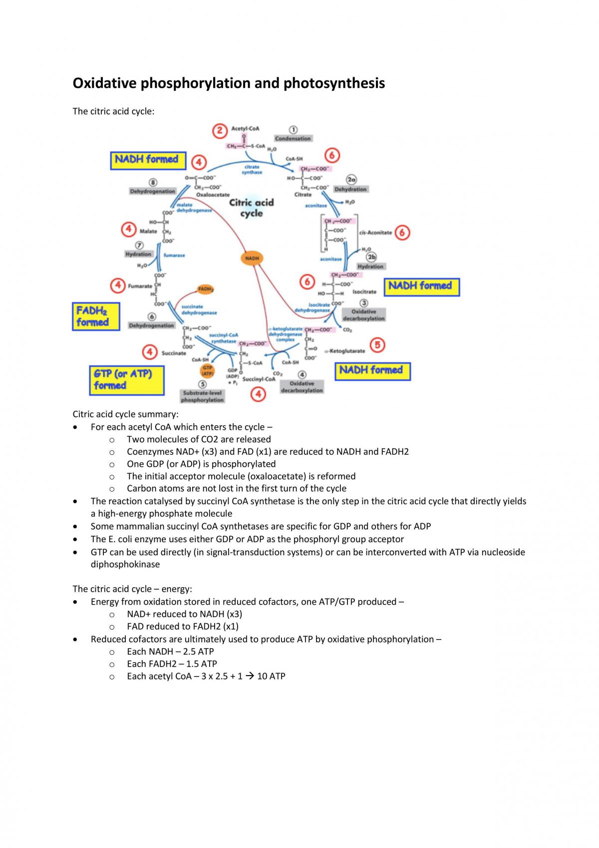 Biochemistry revision notes - Page 2