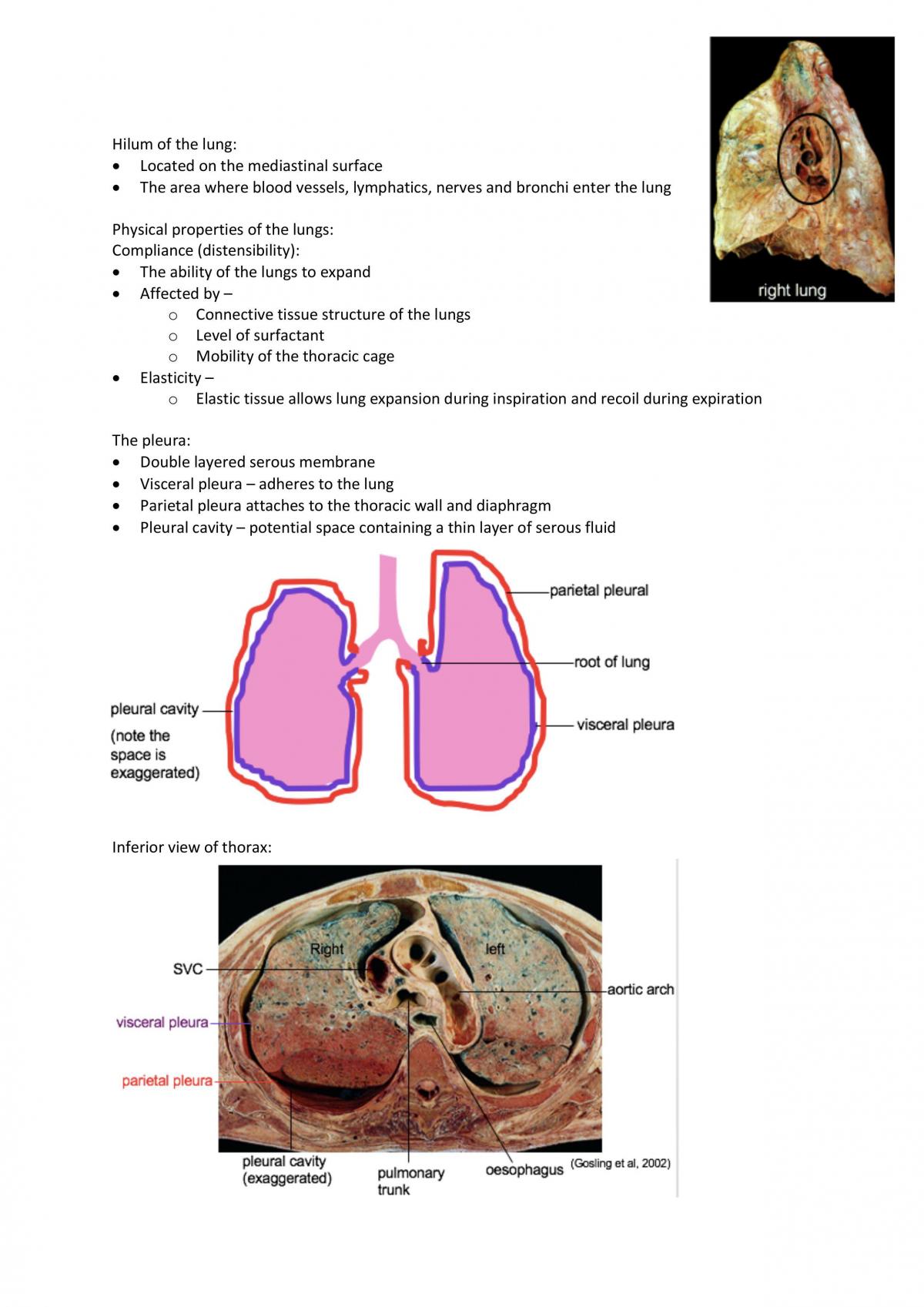 Body systems revision notes - Page 3