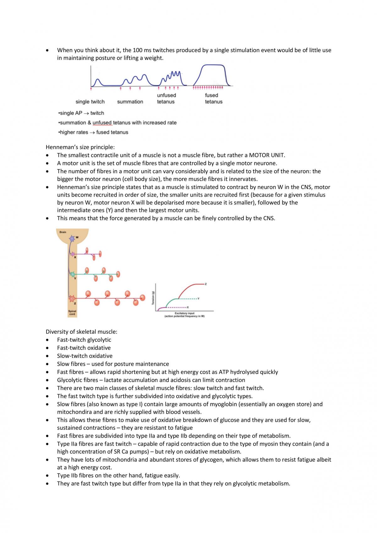 Excitable Cells revision notes - Page 3