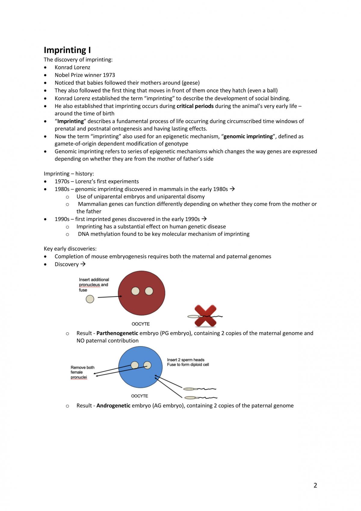 Hormones and Behaviour revision notes - Page 2