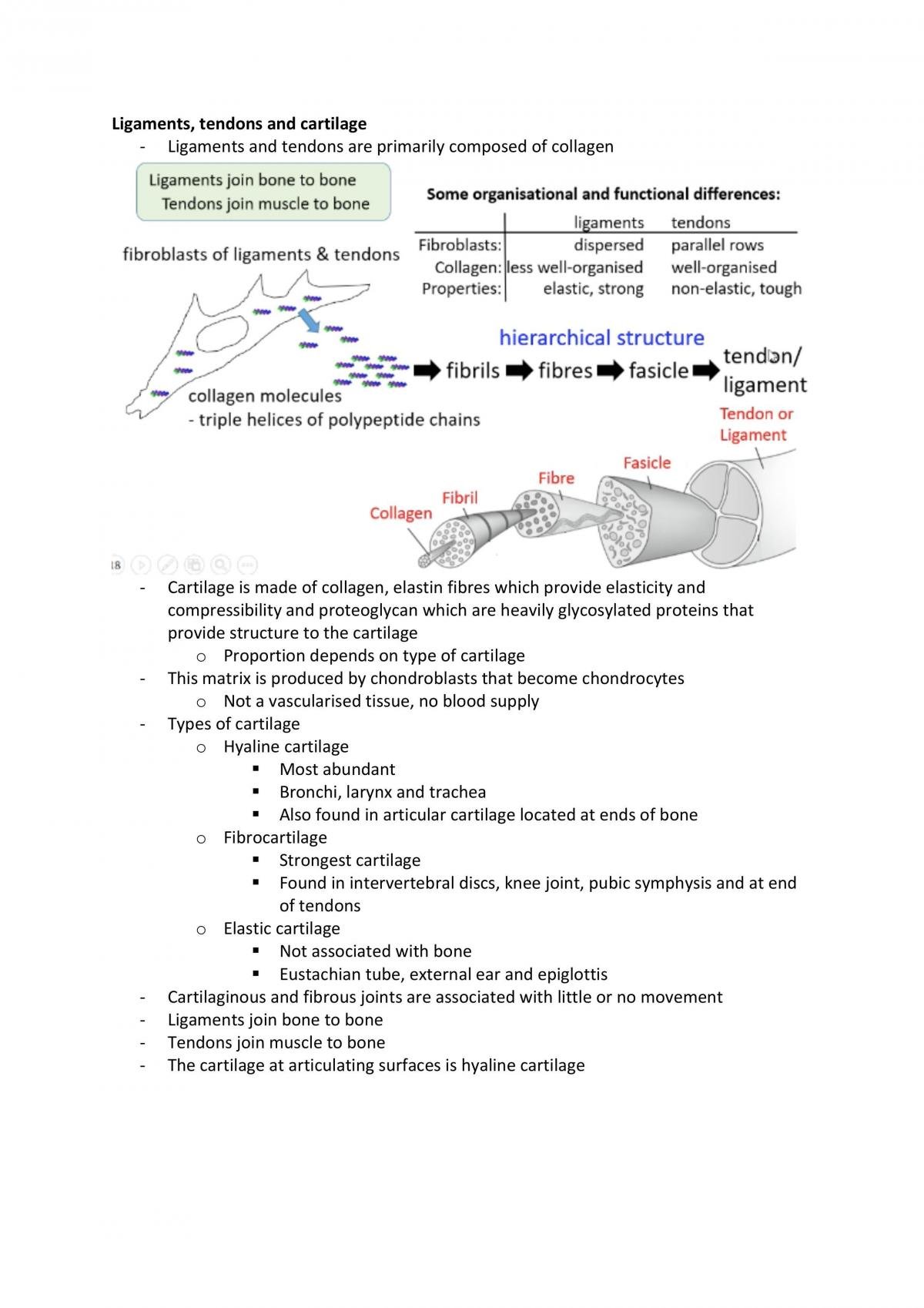 Exercise Physiology & Pharmacology Full Notes - Page 35