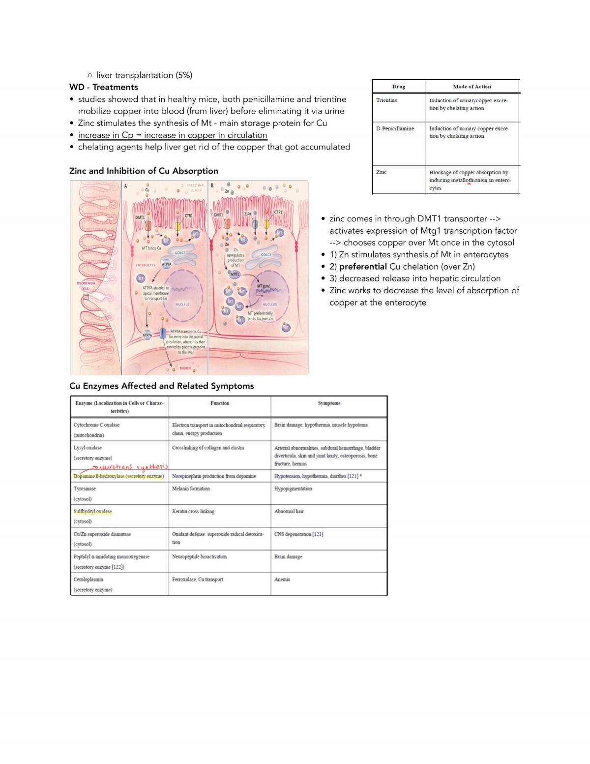 Full Toxicology Notes - Page 12