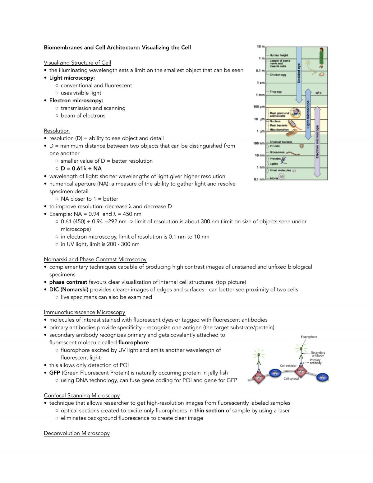 Complete Cell Biology Notes - Page 16